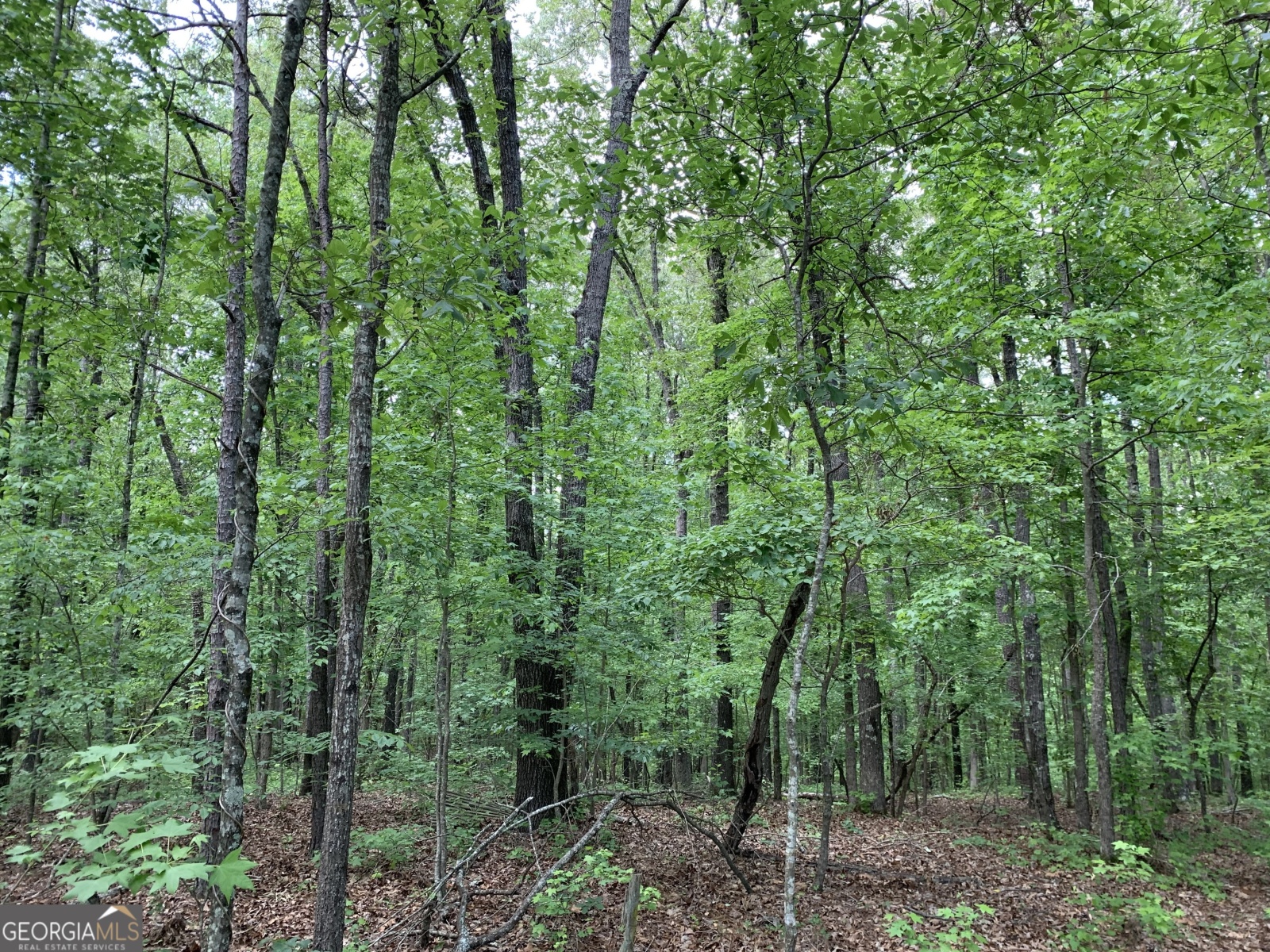 61.990 AC Mike Powers Road, Grantville, Georgia 30220, ,Land,For Sale,Mike Powers,9140297