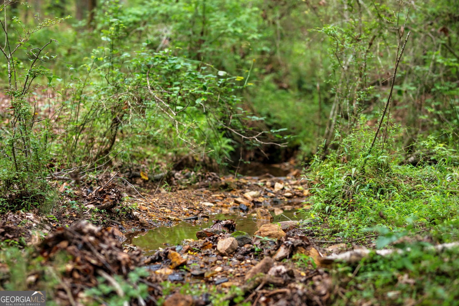 85 Blackjack Mountain Road, Bowdon, Georgia 30108, ,Land,For Sale,Blackjack Mountain Road,9140331