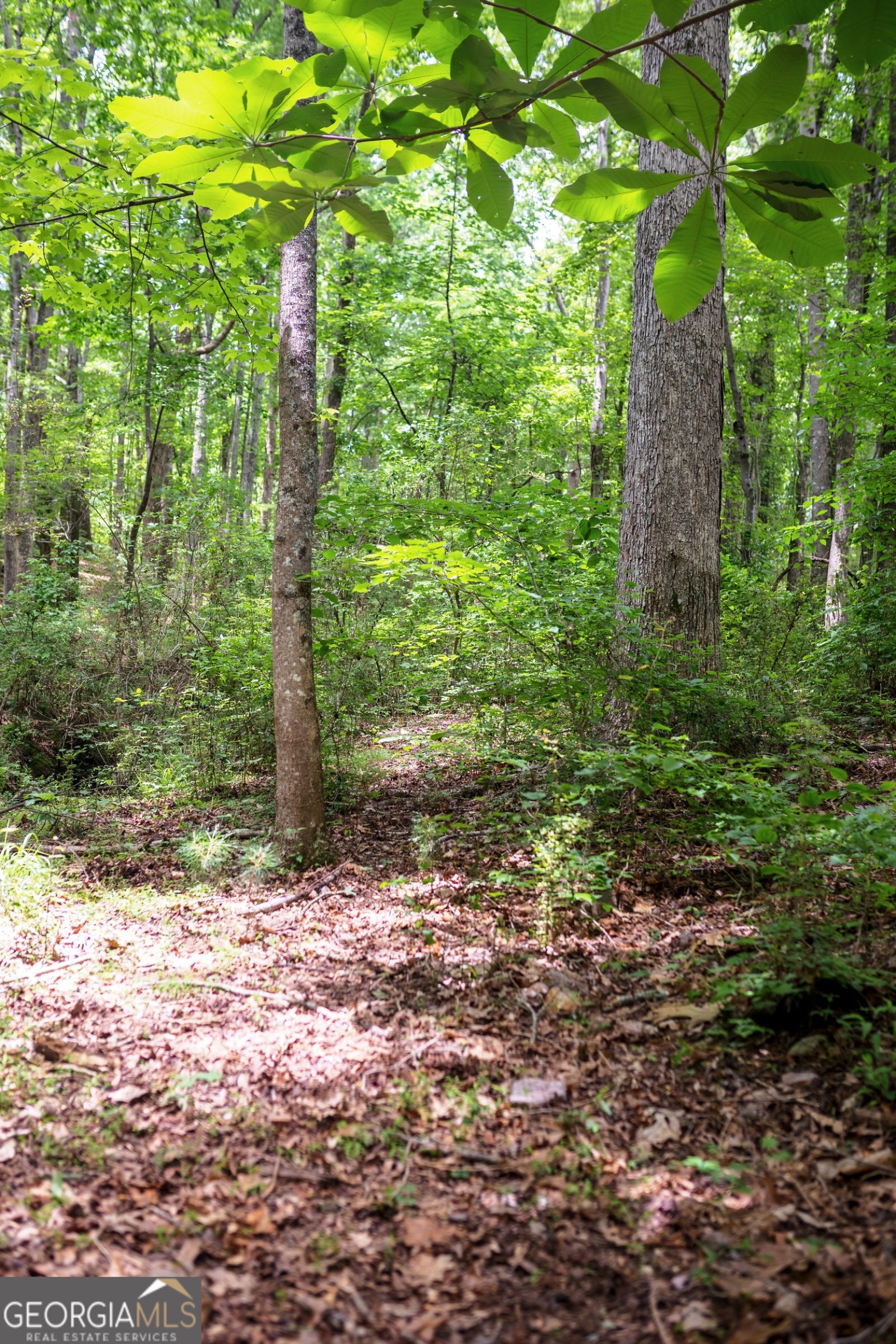 85 Blackjack Mountain Road, Bowdon, Georgia 30108, ,Land,For Sale,Blackjack Mountain Road,9140331