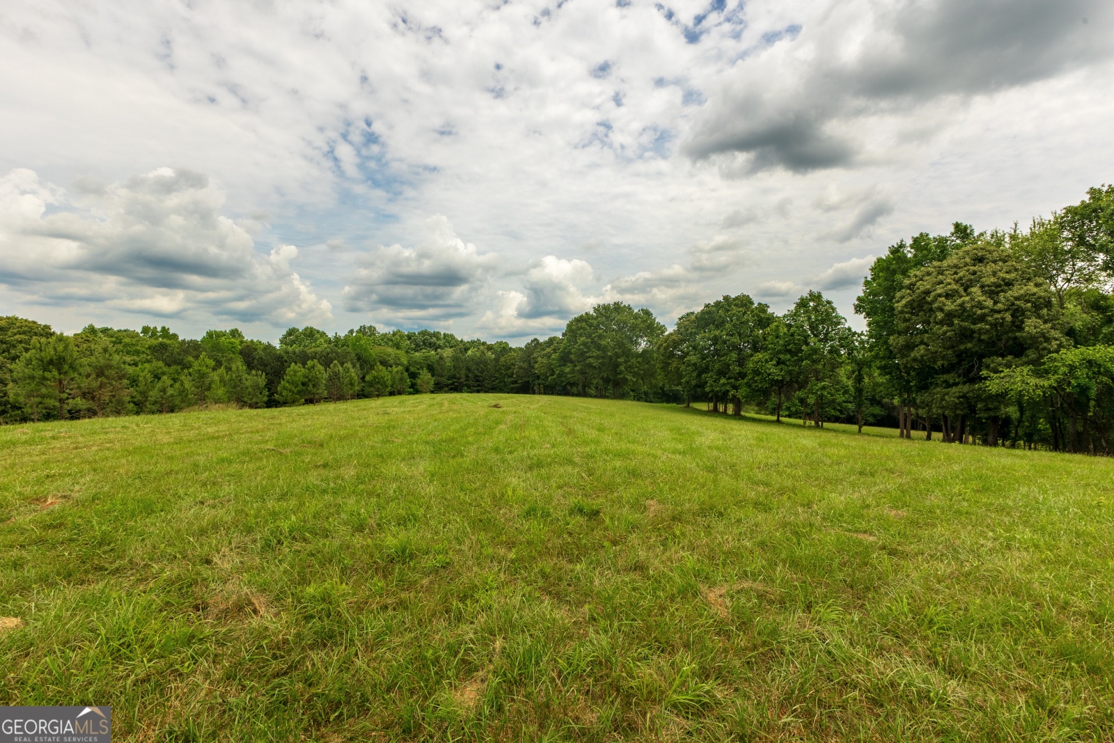 85 Blackjack Mountain Road, Bowdon, Georgia 30108, ,Land,For Sale,Blackjack Mountain Road,9140331