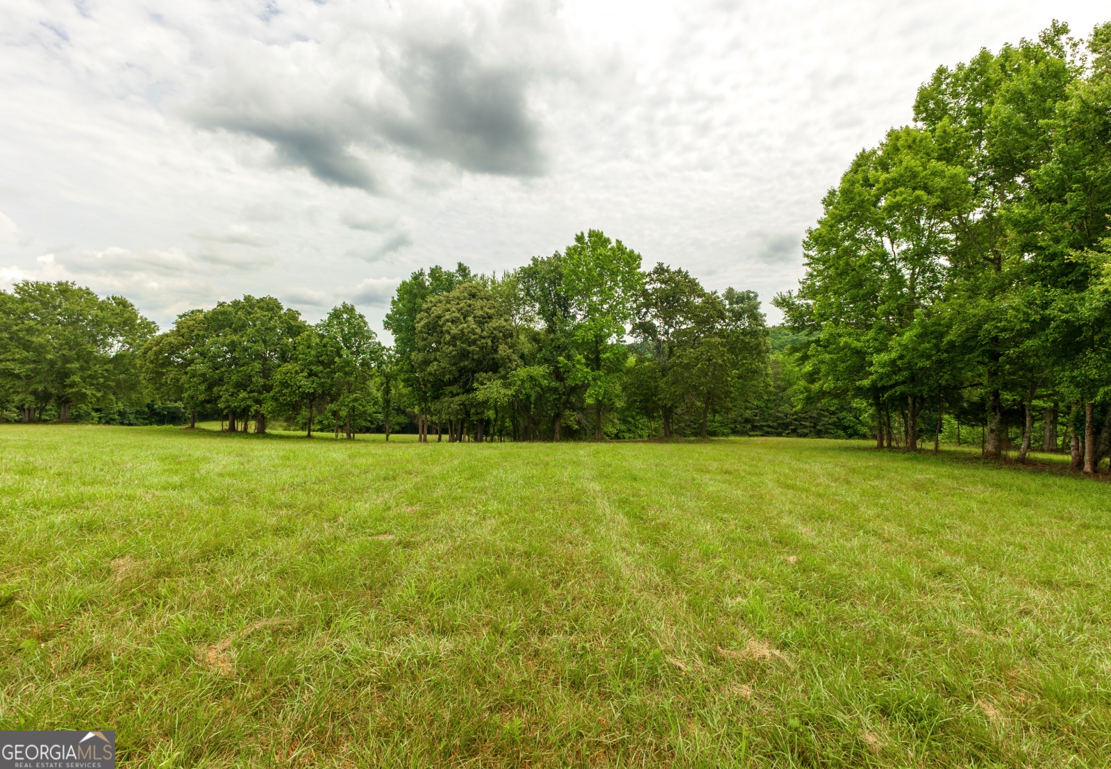 85 Blackjack Mountain Road, Bowdon, Georgia 30108, ,Land,For Sale,Blackjack Mountain Road,9140331