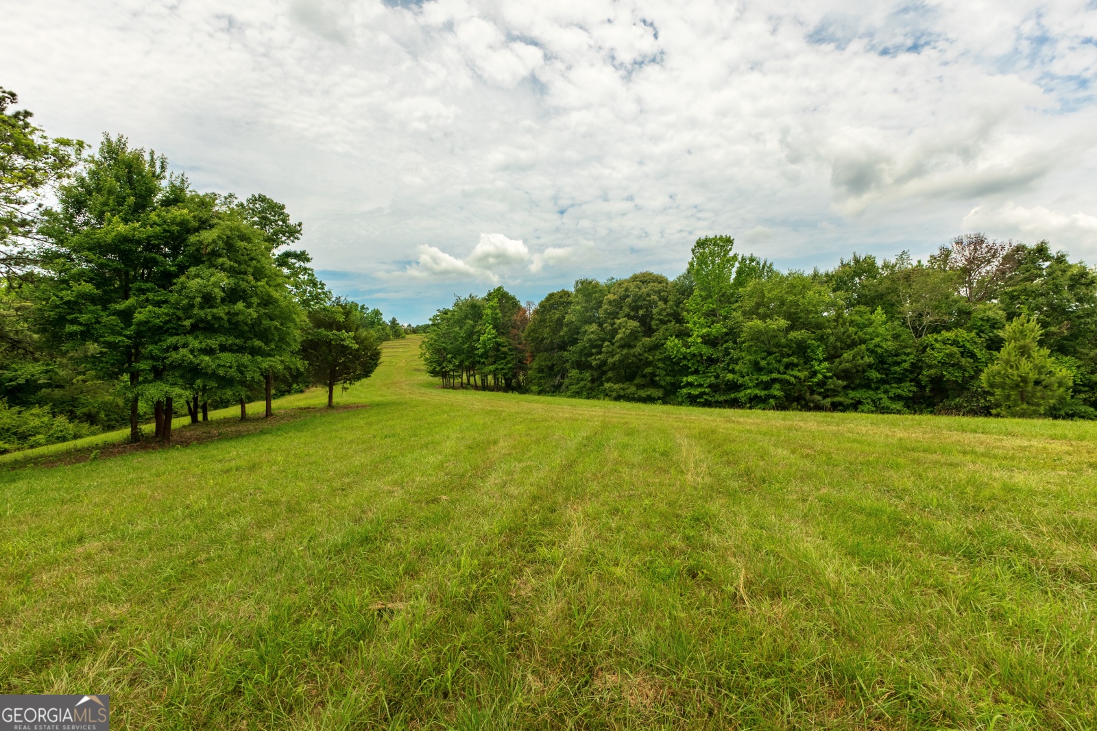 85 Blackjack Mountain Road, Bowdon, Georgia 30108, ,Land,For Sale,Blackjack Mountain Road,9140331