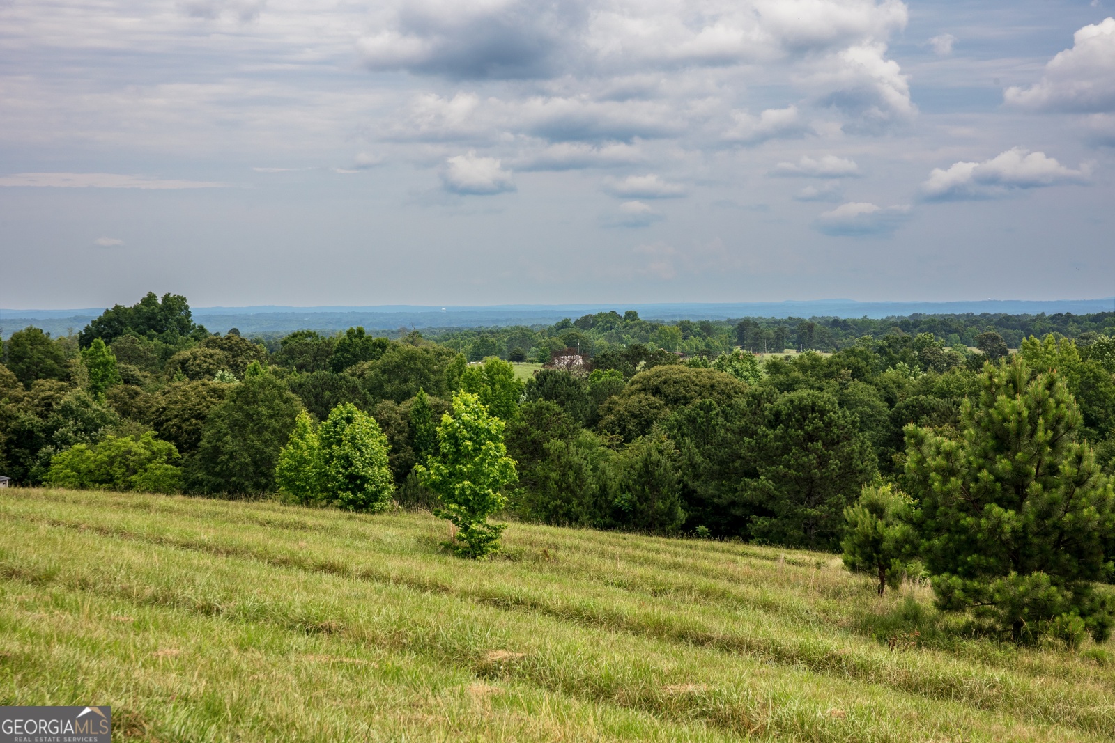 85 Blackjack Mountain Road, Bowdon, Georgia 30108, ,Land,For Sale,Blackjack Mountain Road,9140331