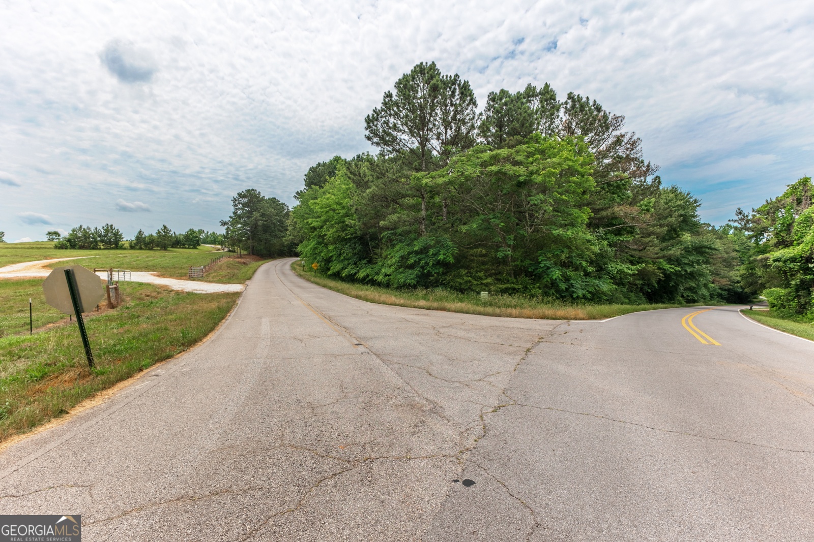 85 Blackjack Mountain Road, Bowdon, Georgia 30108, ,Land,For Sale,Blackjack Mountain Road,9140331