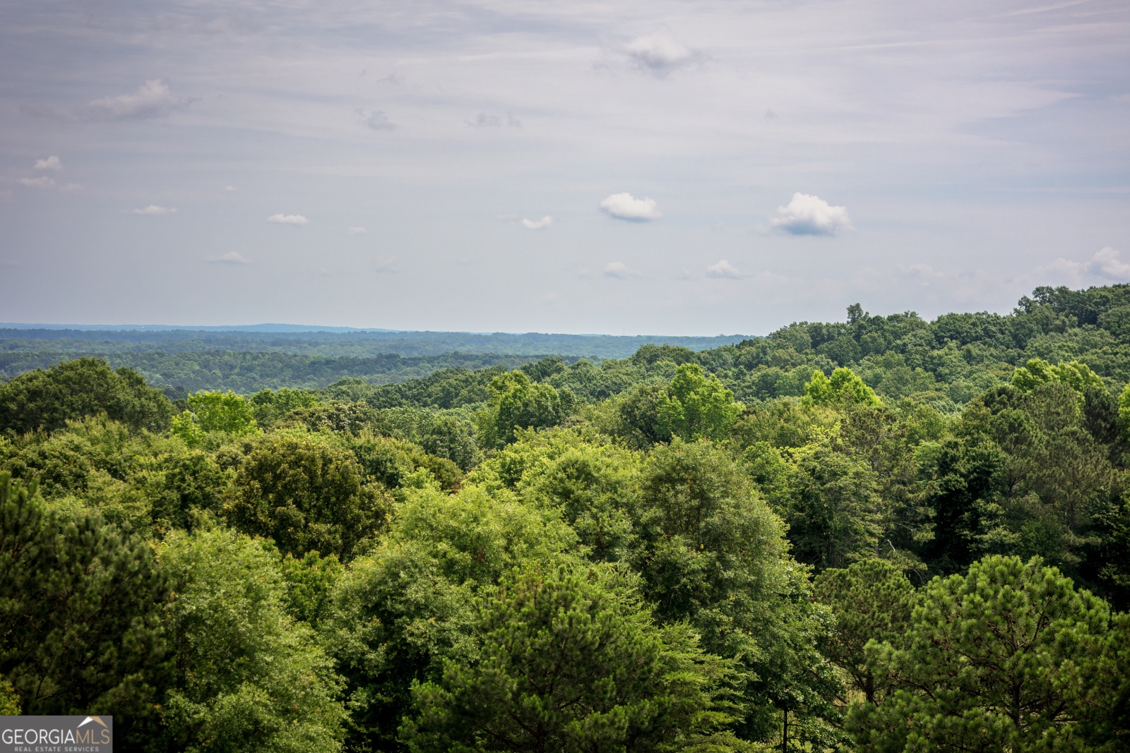 85 Blackjack Mountain Road, Bowdon, Georgia 30108, ,Land,For Sale,Blackjack Mountain Road,9140331