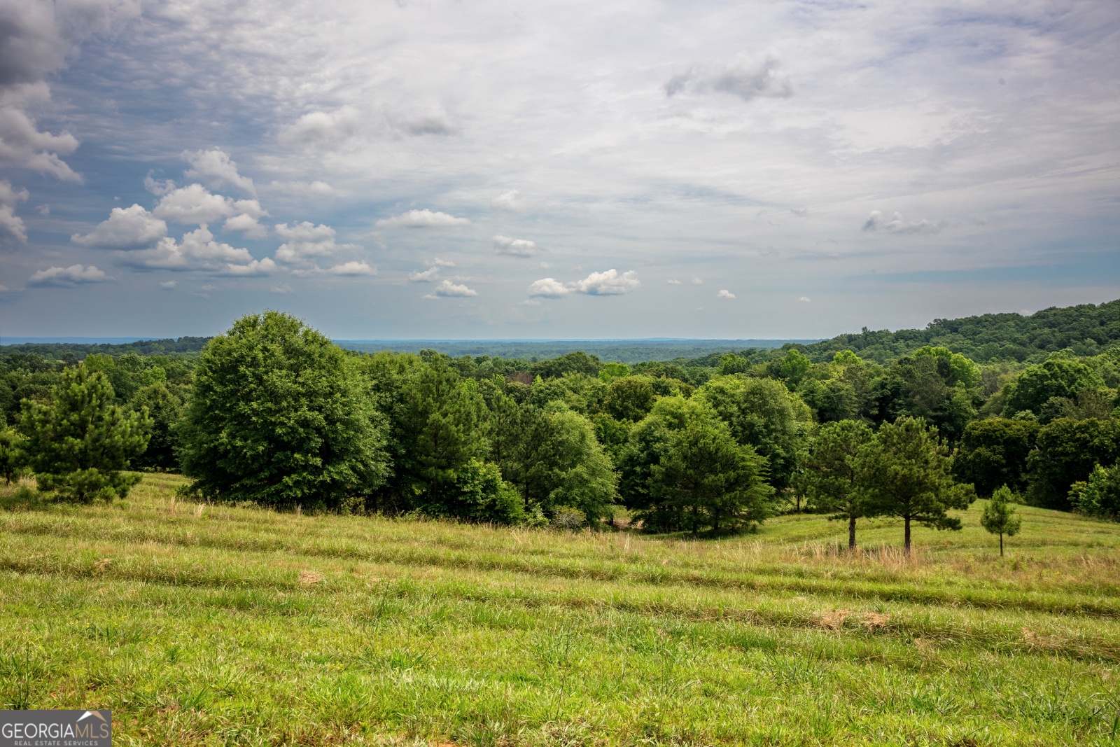 85 Blackjack Mountain Road, Bowdon, Georgia 30108, ,Land,For Sale,Blackjack Mountain Road,9140331