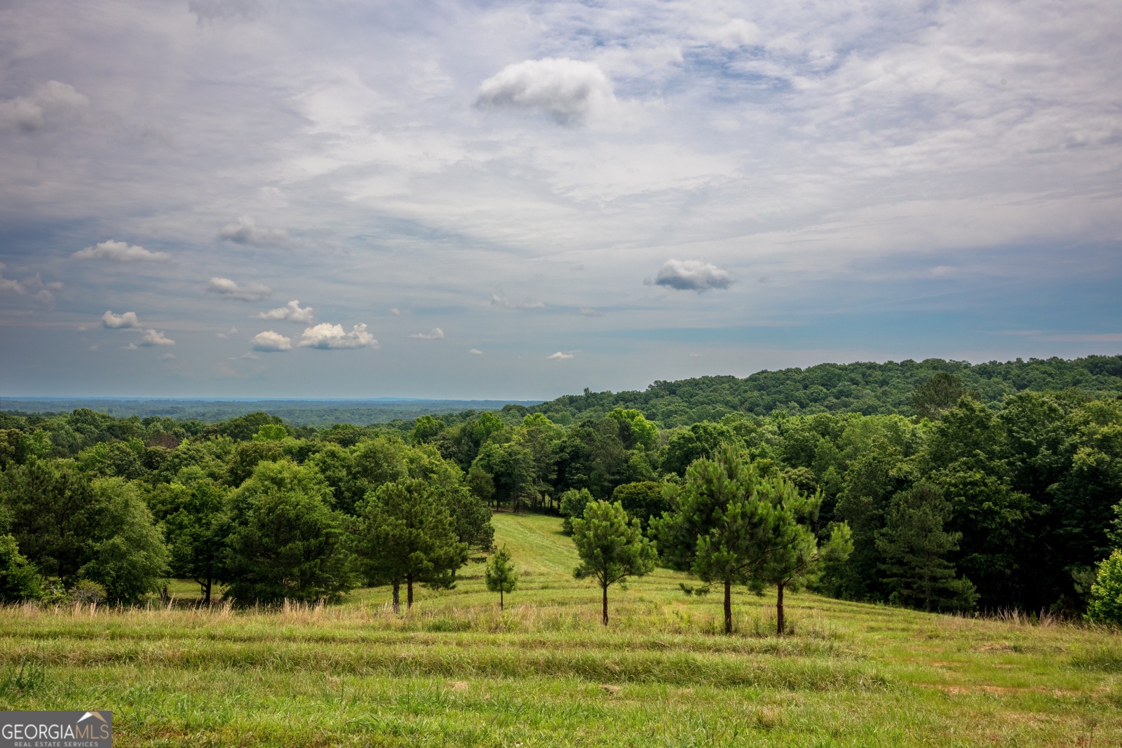 85 Blackjack Mountain Road, Bowdon, Georgia 30108, ,Land,For Sale,Blackjack Mountain Road,9140331