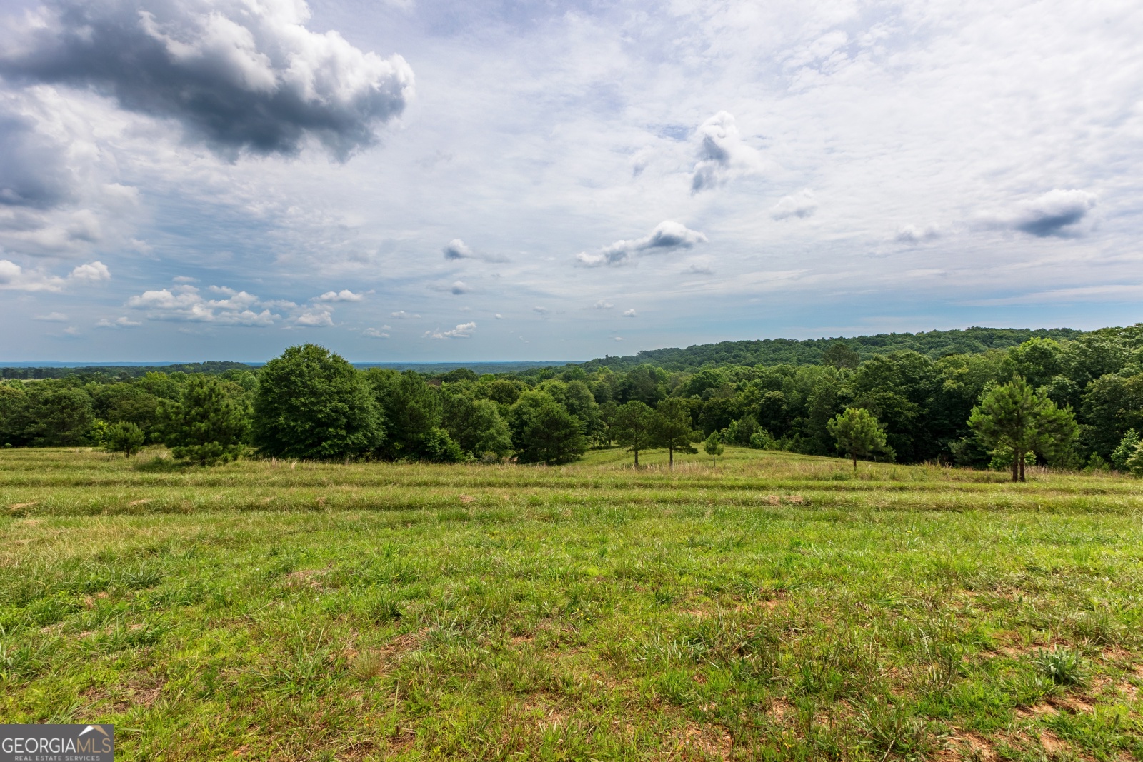 85 Blackjack Mountain Road, Bowdon, Georgia 30108, ,Land,For Sale,Blackjack Mountain Road,9140331