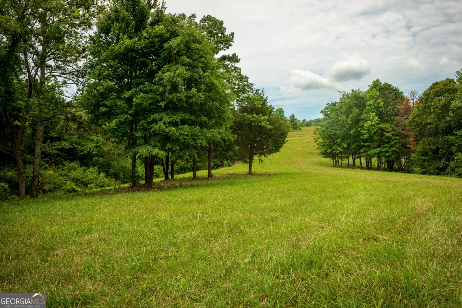 85-A Blackjack Mountain Road, Bowdon, Georgia 30108, ,Land,For Sale,Blackjack Mountain Road,9140333