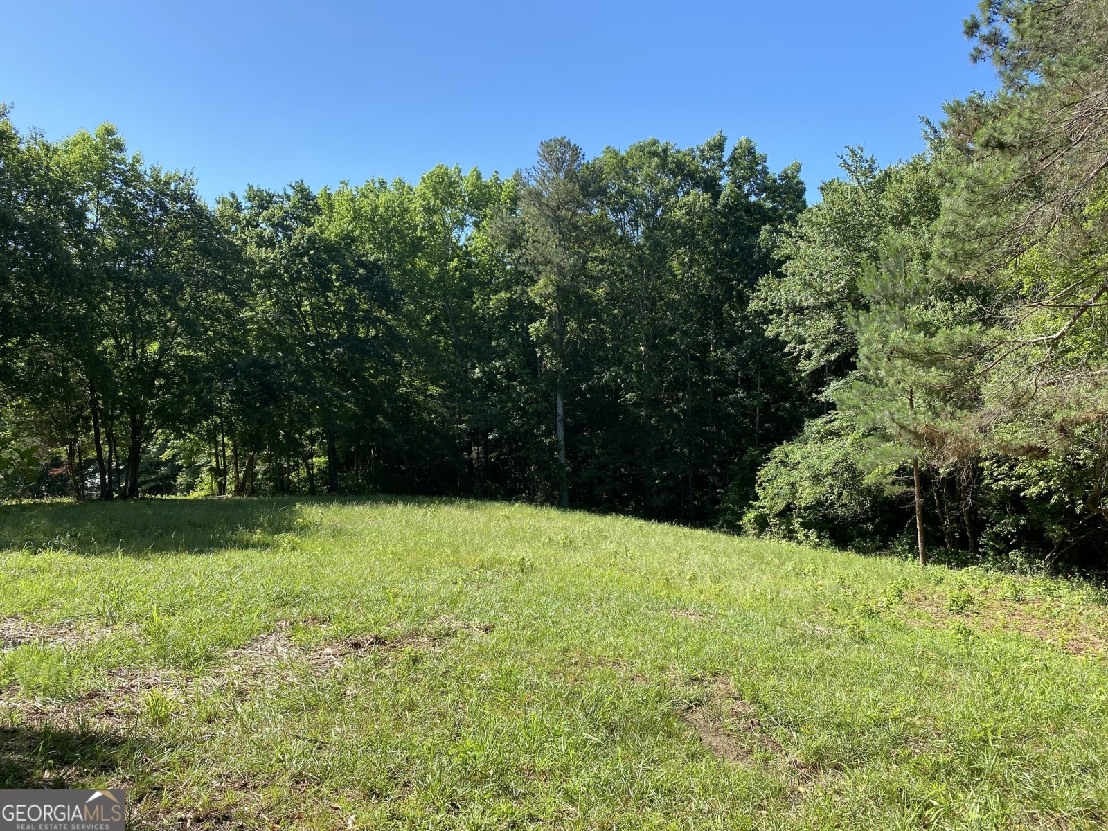 85-B Blackjack Mountain Road, Bowdon, Georgia 30108, ,Land,For Sale,Blackjack Mountain Road,9140334