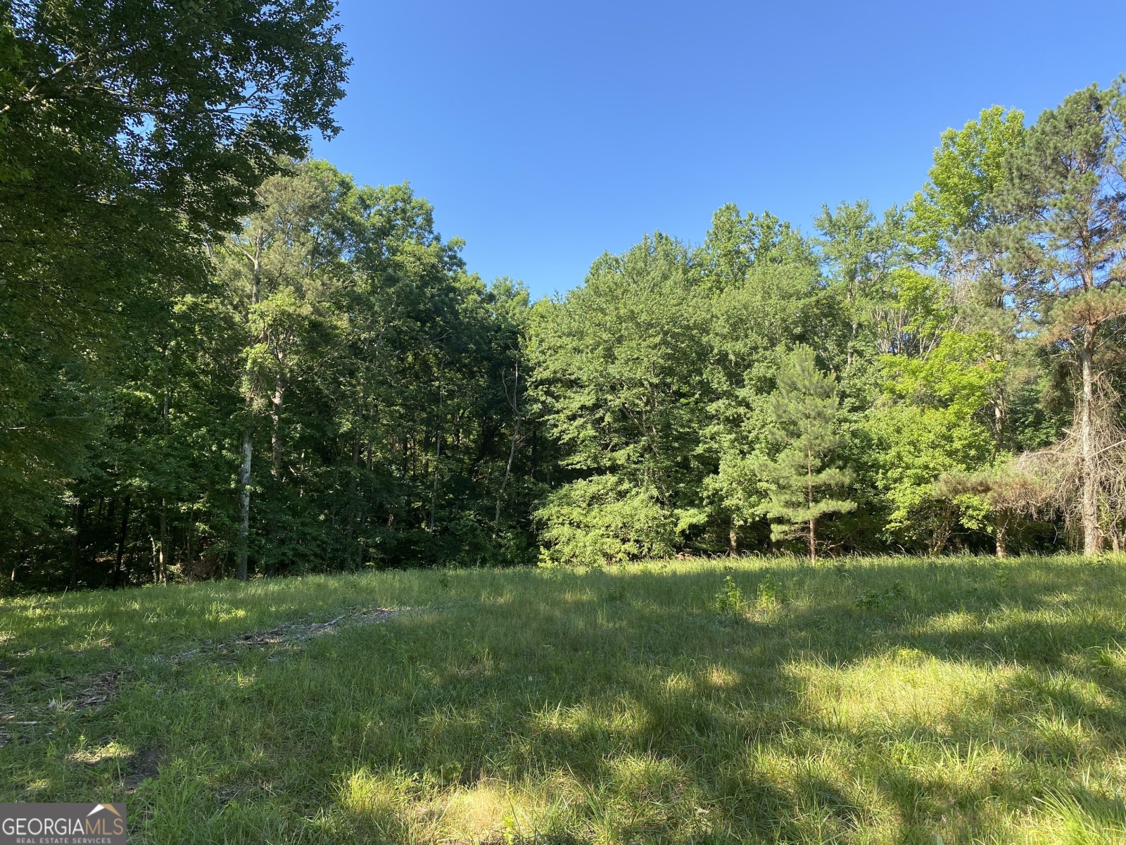 85-B Blackjack Mountain Road, Bowdon, Georgia 30108, ,Land,For Sale,Blackjack Mountain Road,9140334