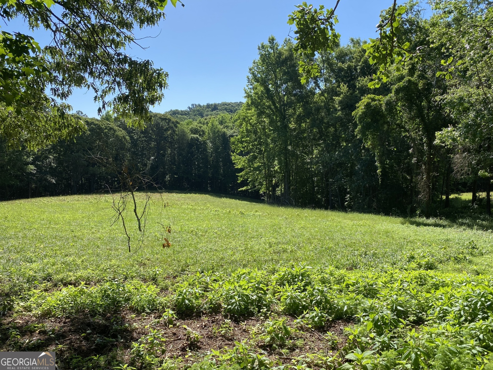 85-B Blackjack Mountain Road, Bowdon, Georgia 30108, ,Land,For Sale,Blackjack Mountain Road,9140334