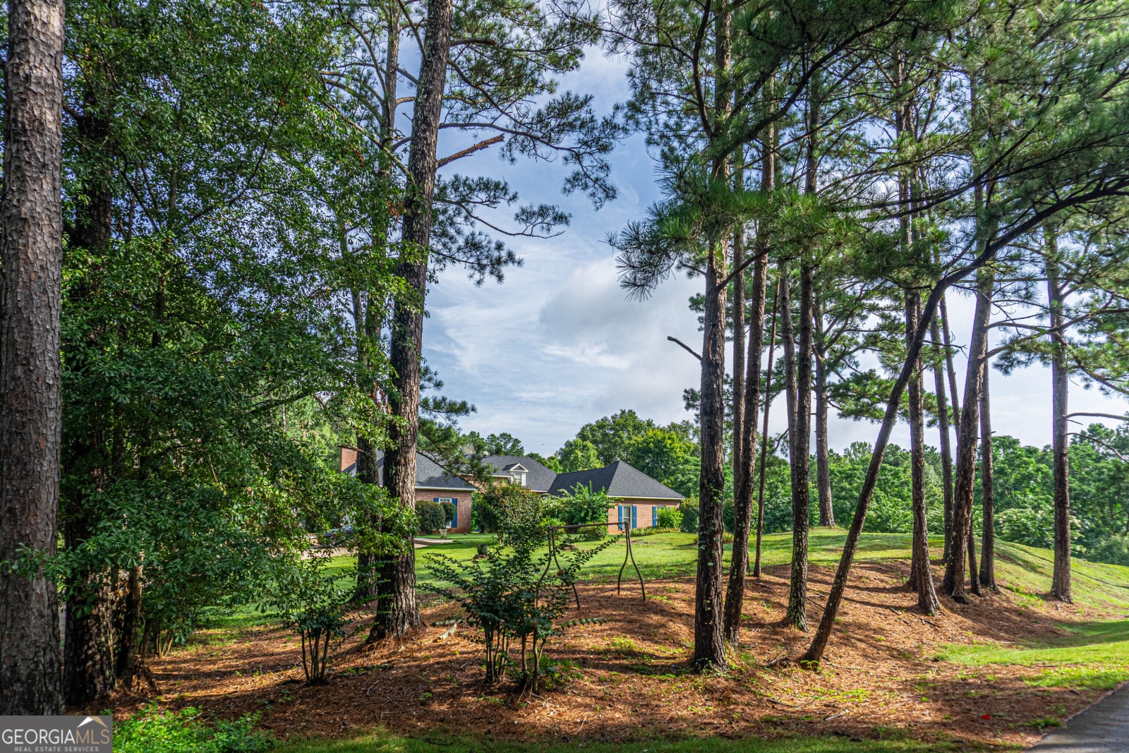 1091 Country Place, Fortson, Georgia 31808, 6 Bedrooms Bedrooms, ,6 BathroomsBathrooms,Residential,For Sale,Country,9140478