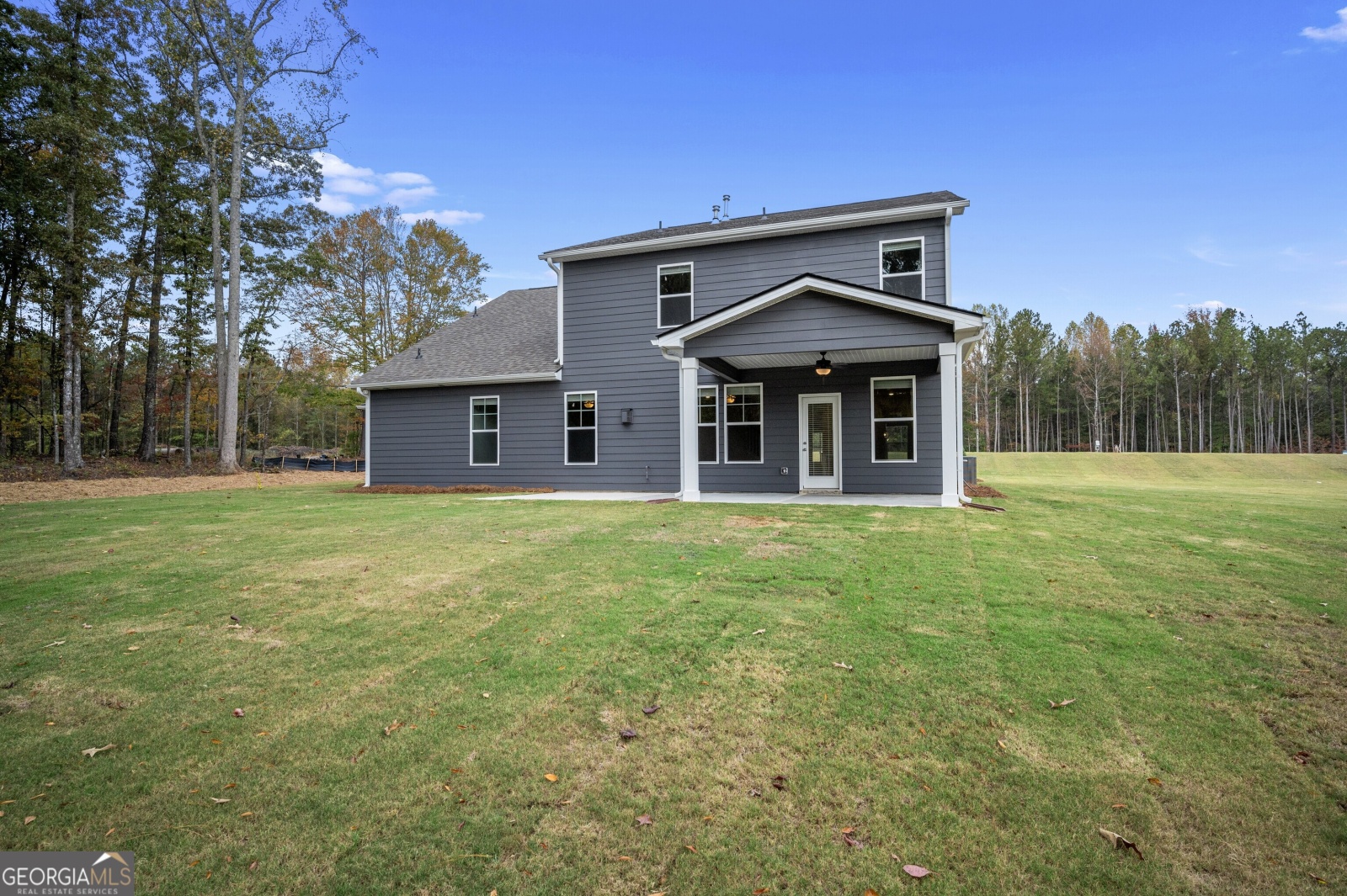 55 Homesite Slick Court, Senoia, Georgia 30276, 4 Bedrooms Bedrooms, ,3 BathroomsBathrooms,Residential,For Sale,Homesite Slick,9140527