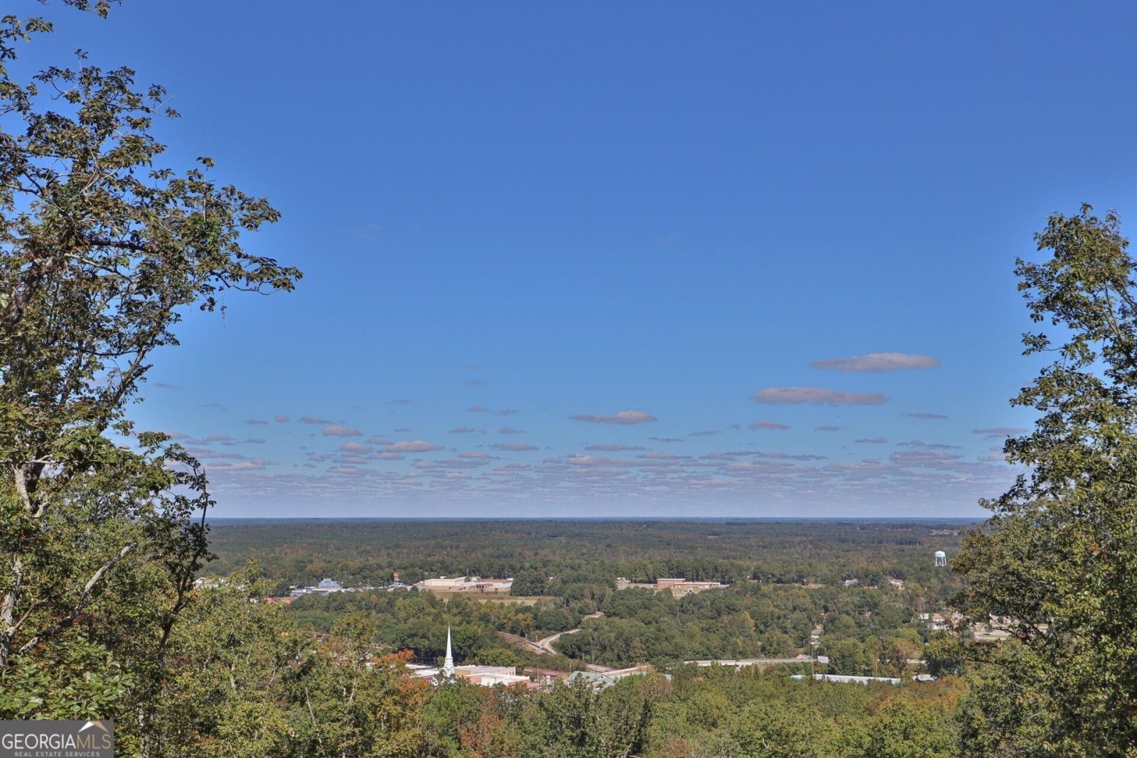 5 ESTATE LOTS Mountain Ridge Drive, Manchester, Georgia 31816, ,Land,For Sale,Mountain Ridge Drive,9140537