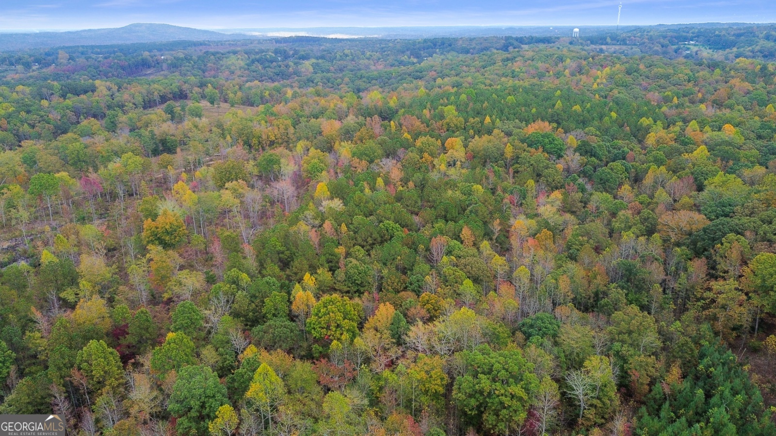 TBD Providence Church Road, Tallapoosa, Georgia 30176, ,Land,For Sale,Providence Church,9140583