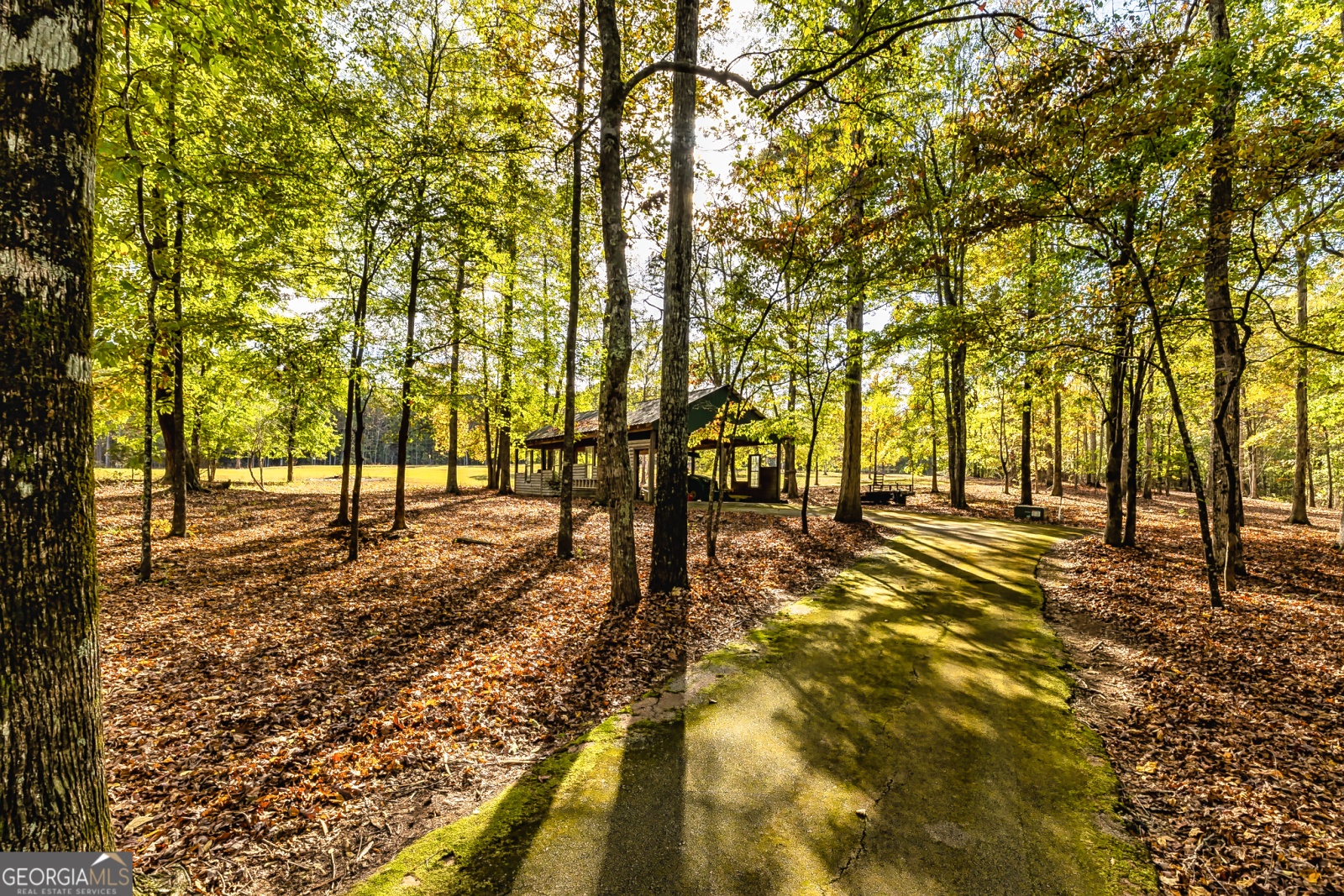 710 Line Creek Road, Senoia, Georgia 30276, 4 Bedrooms Bedrooms, ,3 BathroomsBathrooms,Residential,For Sale,Line Creek,9140597