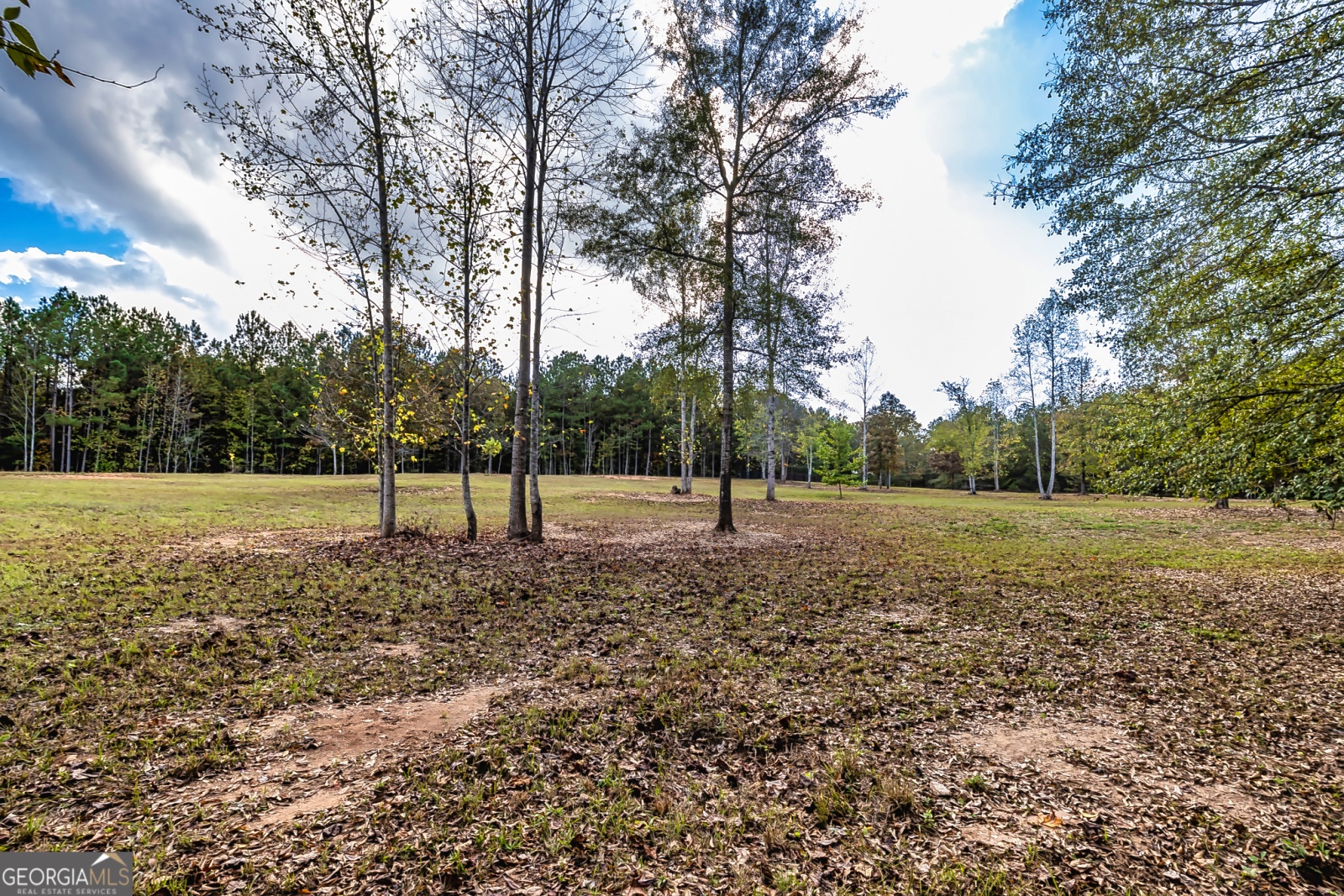 710 Line Creek Road, Senoia, Georgia 30276, 4 Bedrooms Bedrooms, ,3 BathroomsBathrooms,Residential,For Sale,Line Creek,9140597