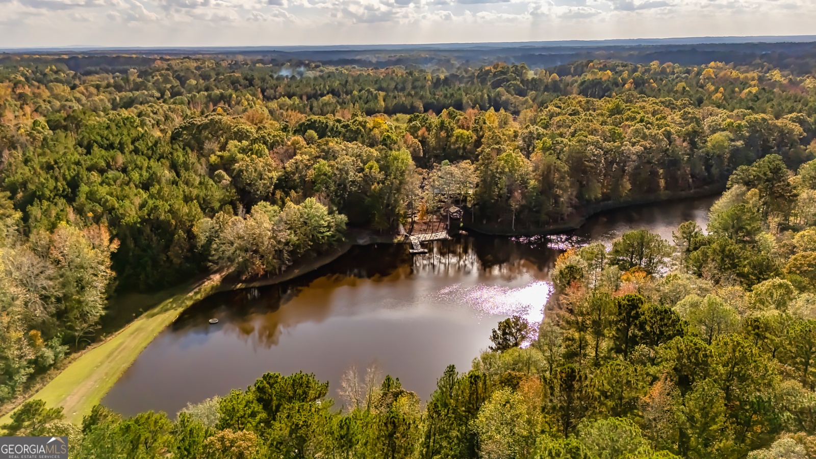 710 Line Creek Road, Senoia, Georgia 30276, 4 Bedrooms Bedrooms, ,3 BathroomsBathrooms,Residential,For Sale,Line Creek,9140597