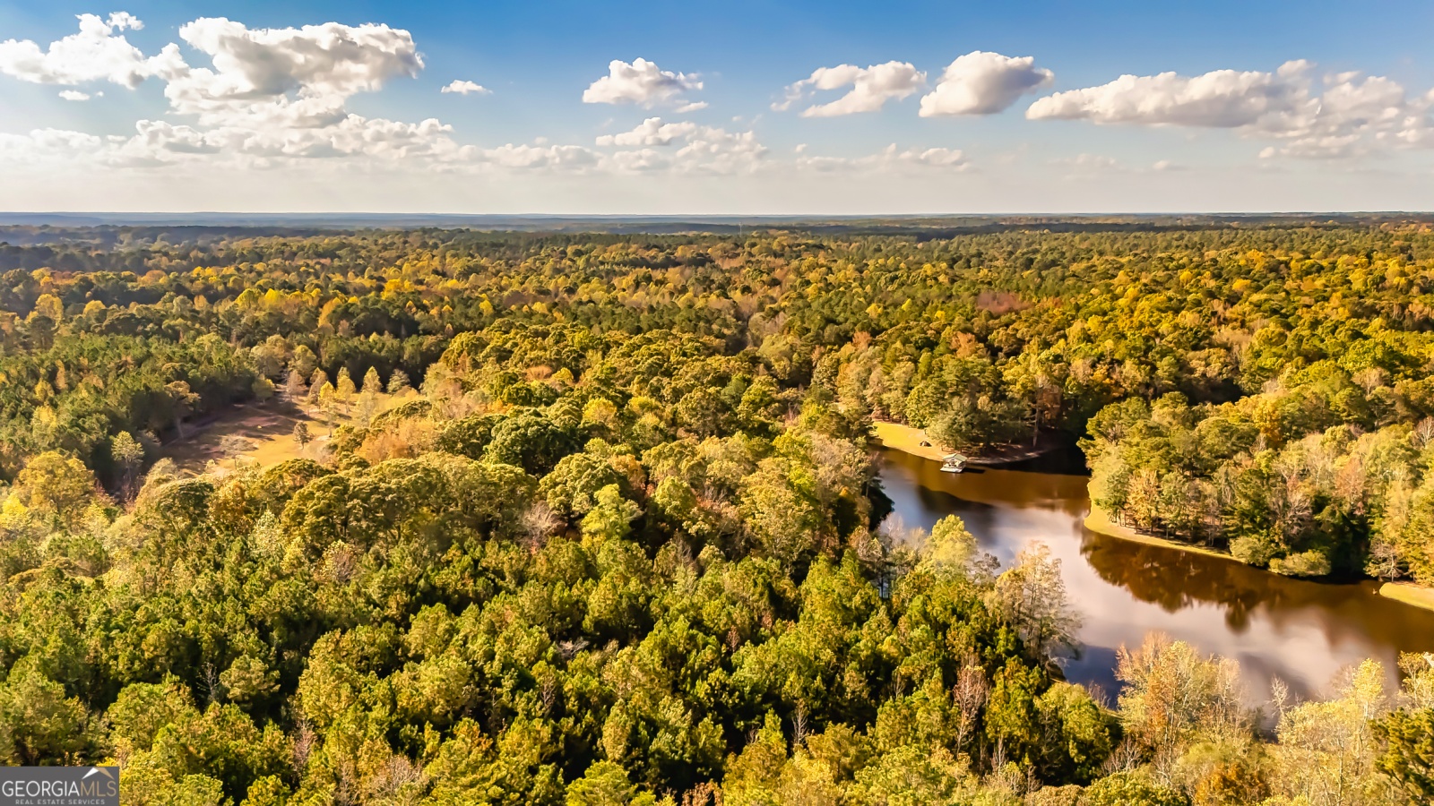 710 Line Creek Road, Senoia, Georgia 30276, 4 Bedrooms Bedrooms, ,3 BathroomsBathrooms,Residential,For Sale,Line Creek,9140597