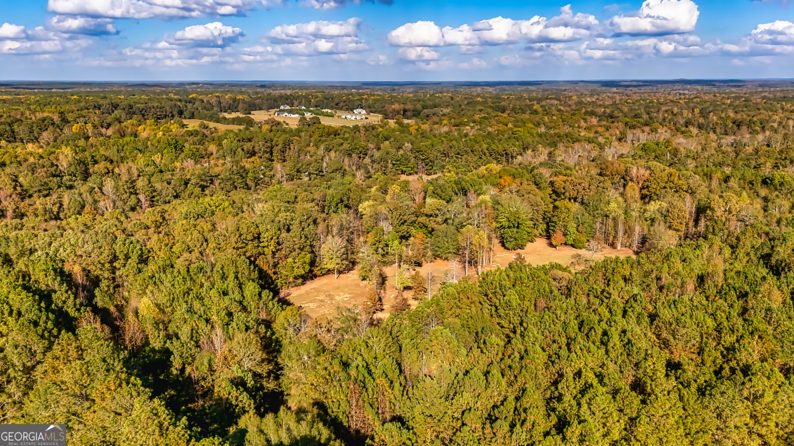 710 Line Creek Road, Senoia, Georgia 30276, 4 Bedrooms Bedrooms, ,3 BathroomsBathrooms,Residential,For Sale,Line Creek,9140597