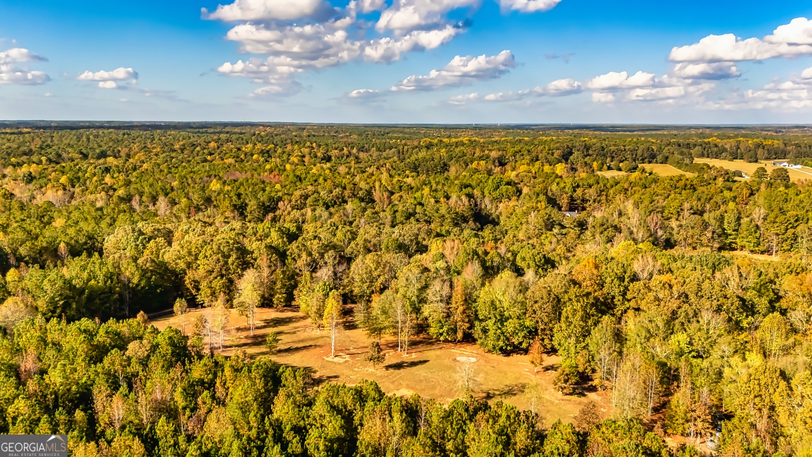 710 Line Creek Road, Senoia, Georgia 30276, 4 Bedrooms Bedrooms, ,3 BathroomsBathrooms,Residential,For Sale,Line Creek,9140597