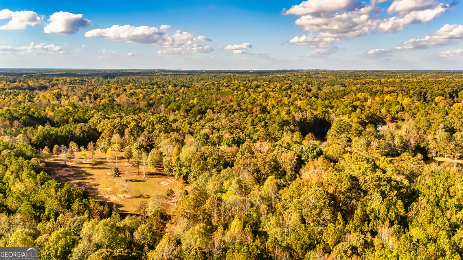 710 Line Creek Road, Senoia, Georgia 30276, 4 Bedrooms Bedrooms, ,3 BathroomsBathrooms,Residential,For Sale,Line Creek,9140597