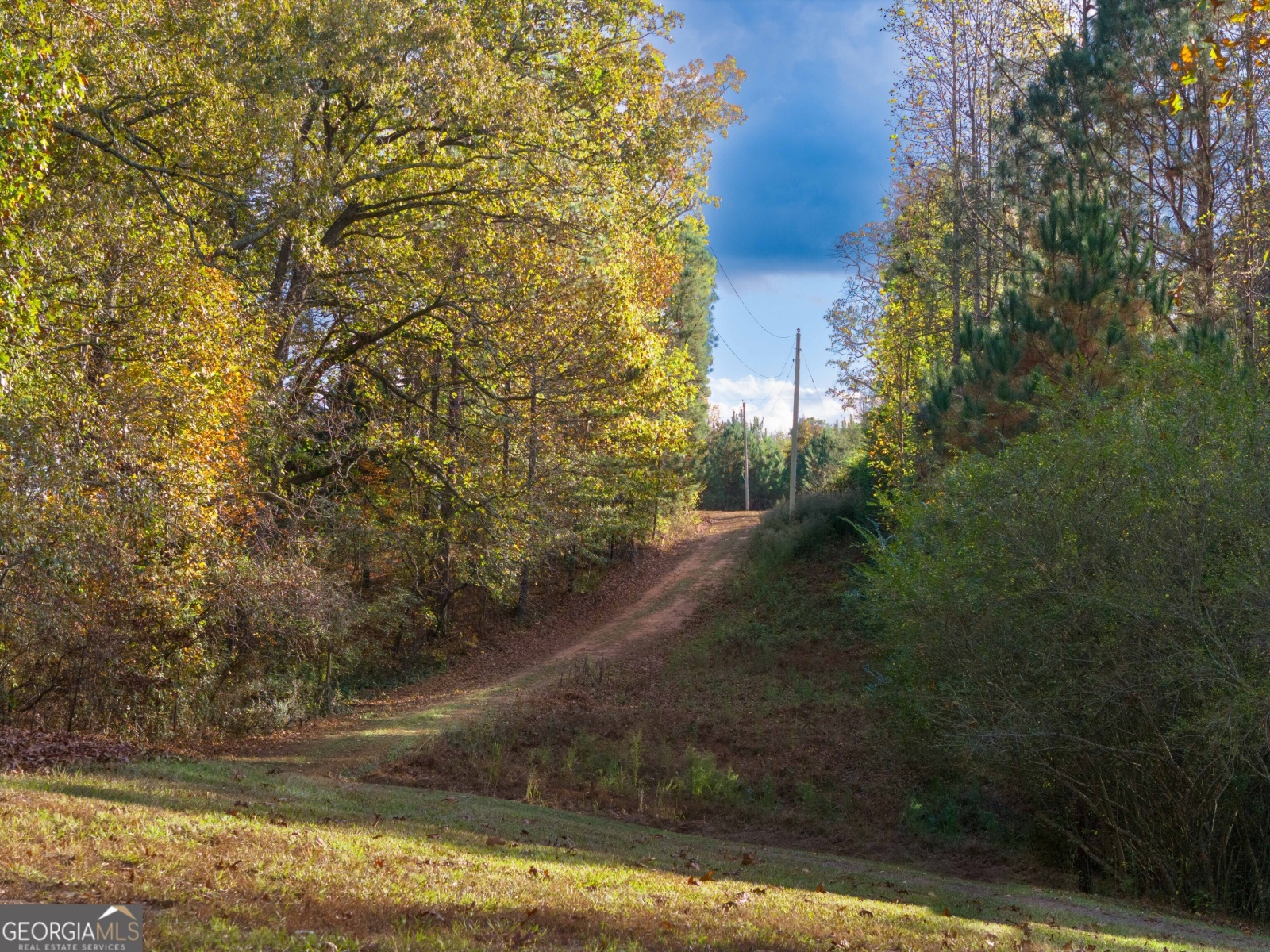 1616 & 1620 Welcome Road, Roopville, Georgia 30170, ,Land,For Sale,Welcome,9140842