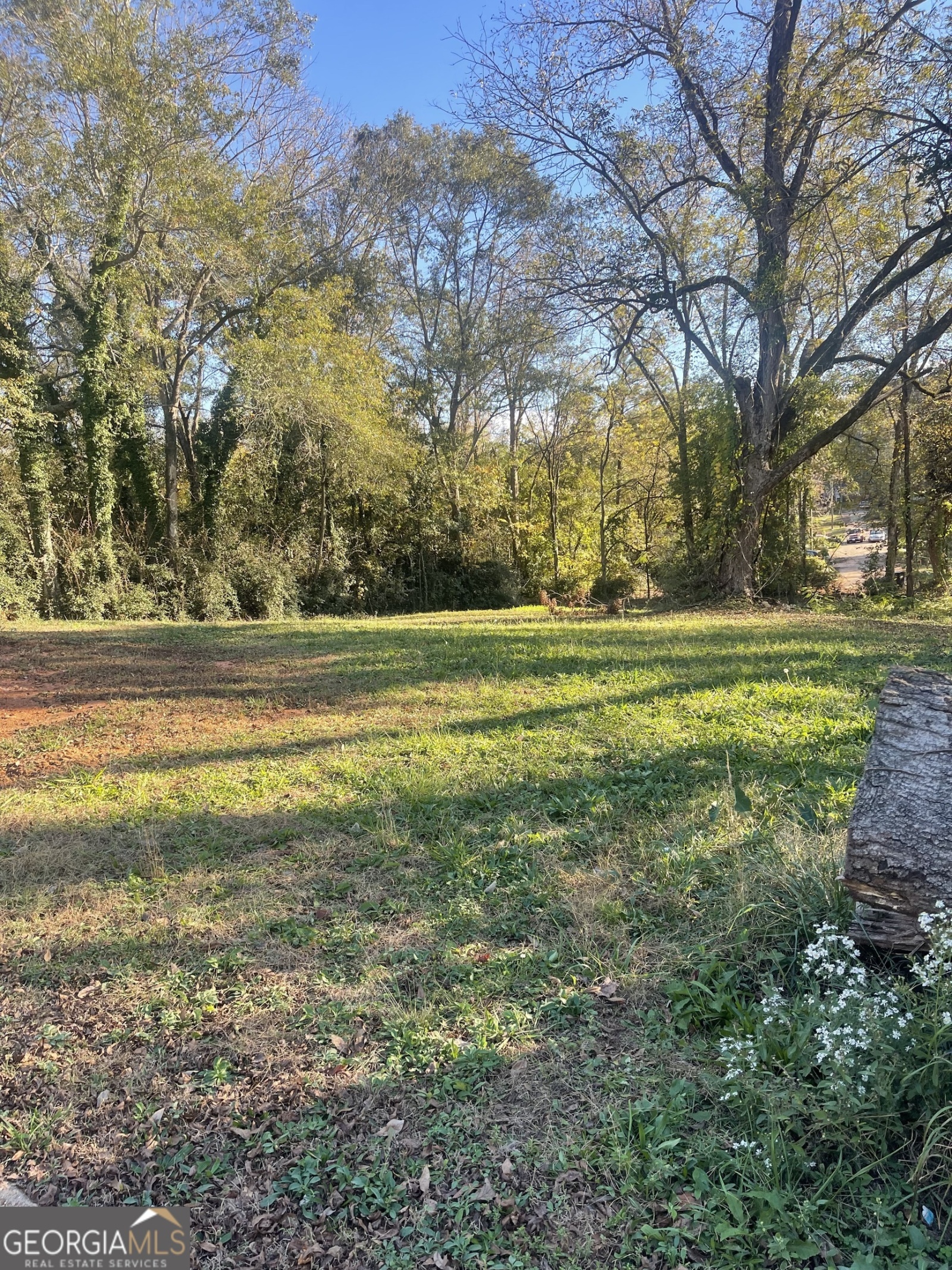 1110 7th Street, West Point, Georgia 31833, ,Land,For Sale,7th,9140876