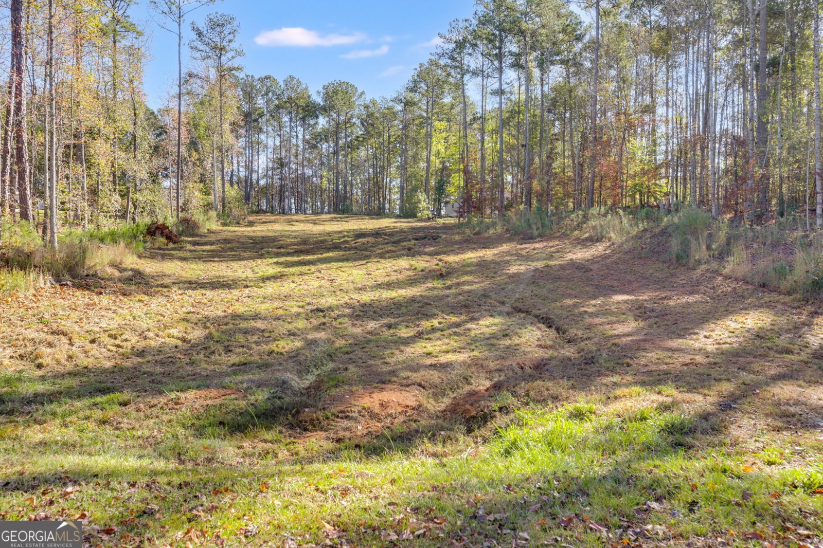 65 Indian Bend Drive, Lagrange, Georgia 30240, ,Land,For Sale,Indian Bend,9140894