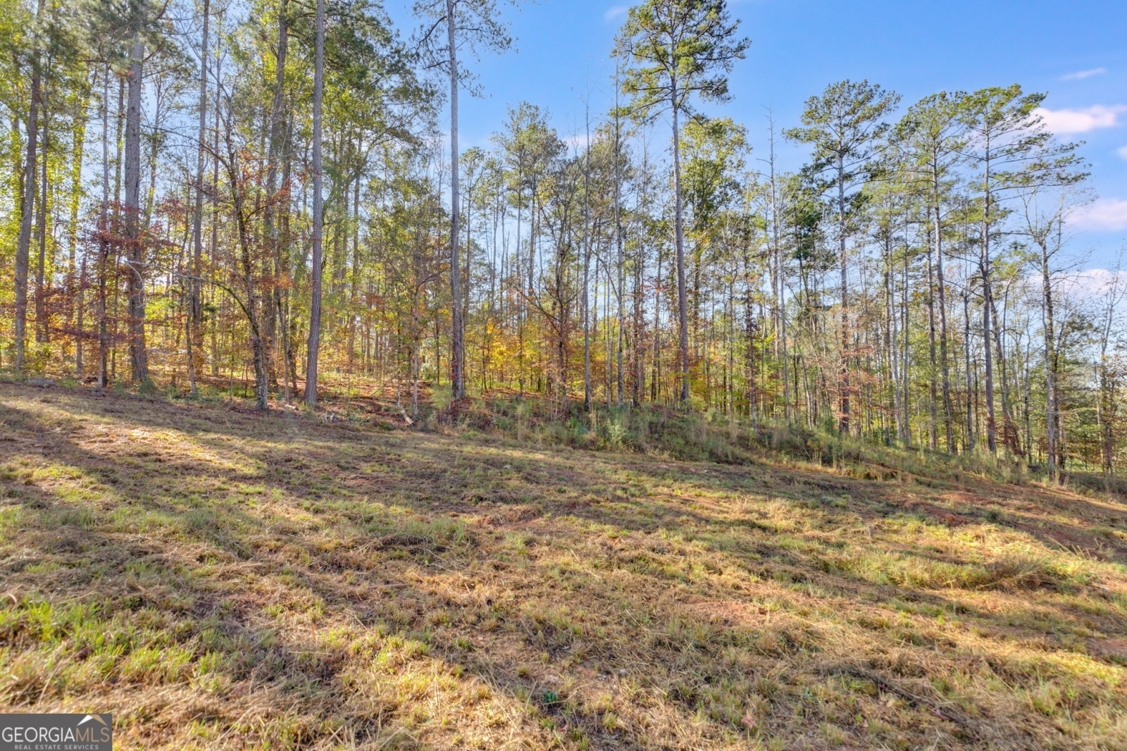 65 Indian Bend Drive, Lagrange, Georgia 30240, ,Land,For Sale,Indian Bend,9140894