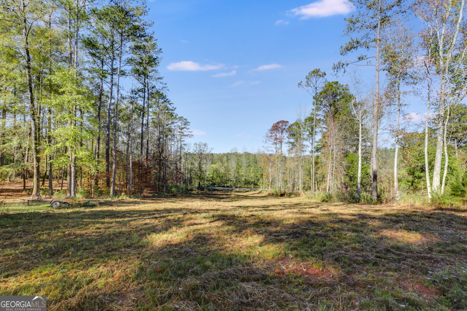 65 Indian Bend Drive, Lagrange, Georgia 30240, ,Land,For Sale,Indian Bend,9140894