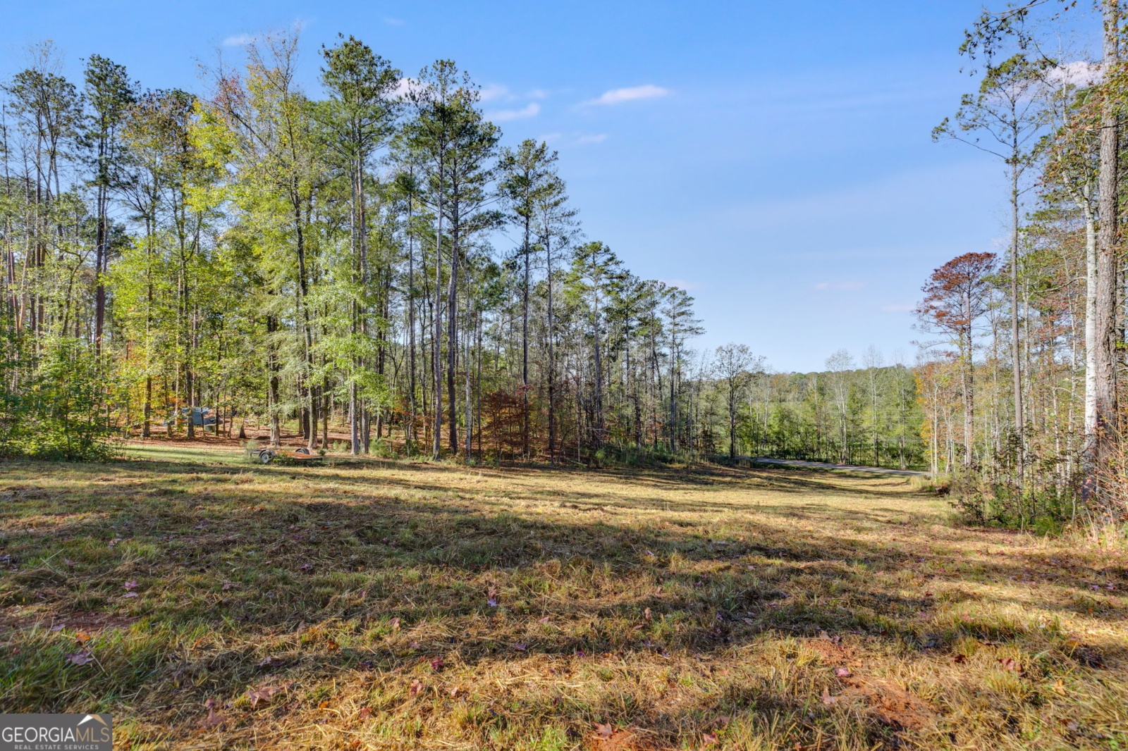 65 Indian Bend Drive, Lagrange, Georgia 30240, ,Land,For Sale,Indian Bend,9140894