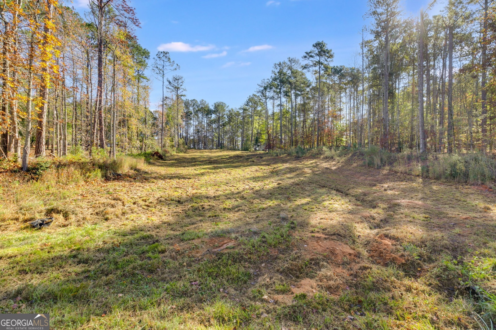 65 Indian Bend Drive, Lagrange, Georgia 30240, ,Land,For Sale,Indian Bend,9140894