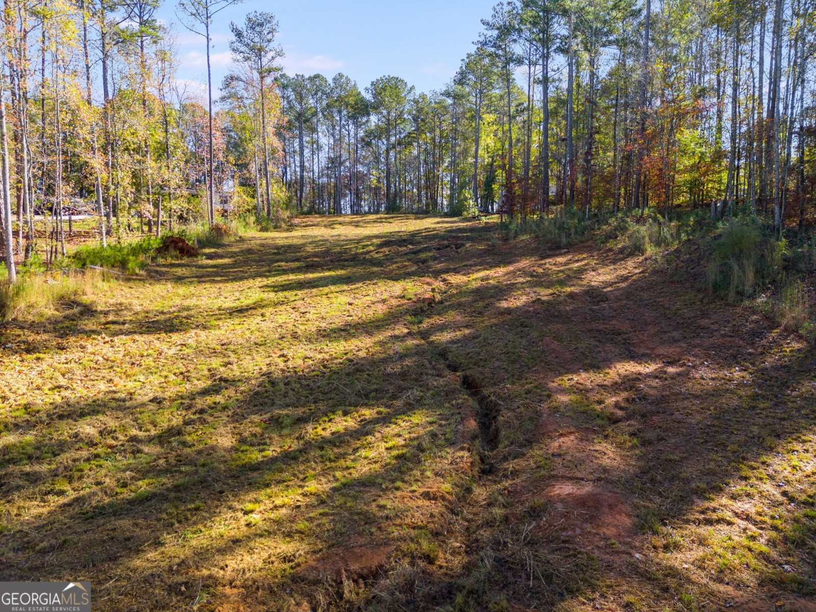 65 Indian Bend Drive, Lagrange, Georgia 30240, ,Land,For Sale,Indian Bend,9140894