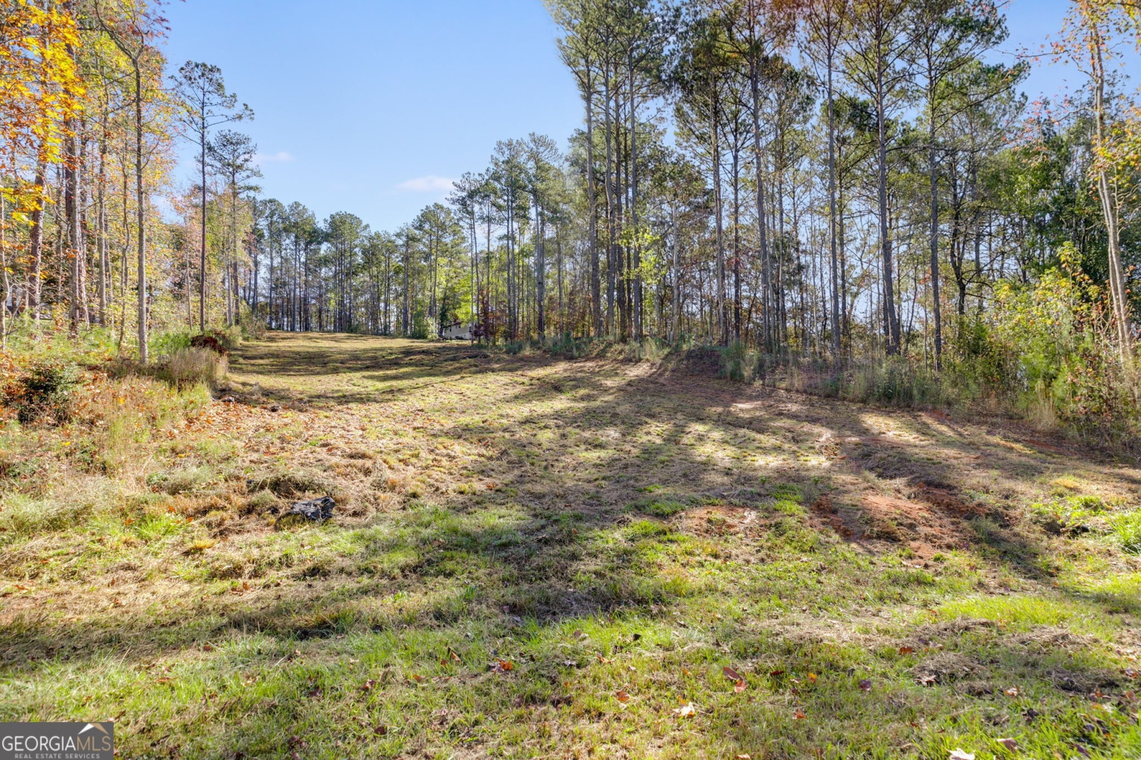 65 Indian Bend Drive, Lagrange, Georgia 30240, ,Land,For Sale,Indian Bend,9140894