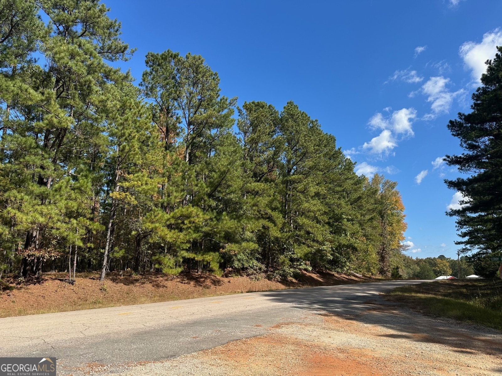 0 Strickland Town Road, Luthersville, Georgia 30251, ,Land,For Sale,Strickland Town,9140944