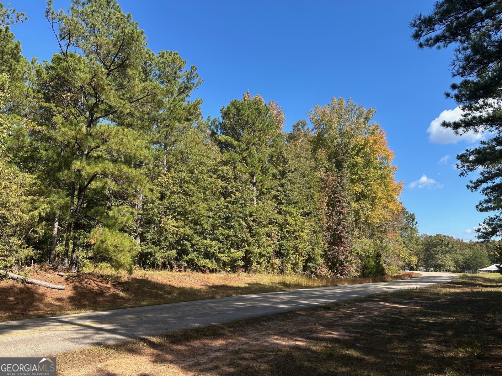 0 Strickland Town Road, Luthersville, Georgia 30251, ,Land,For Sale,Strickland Town,9140944