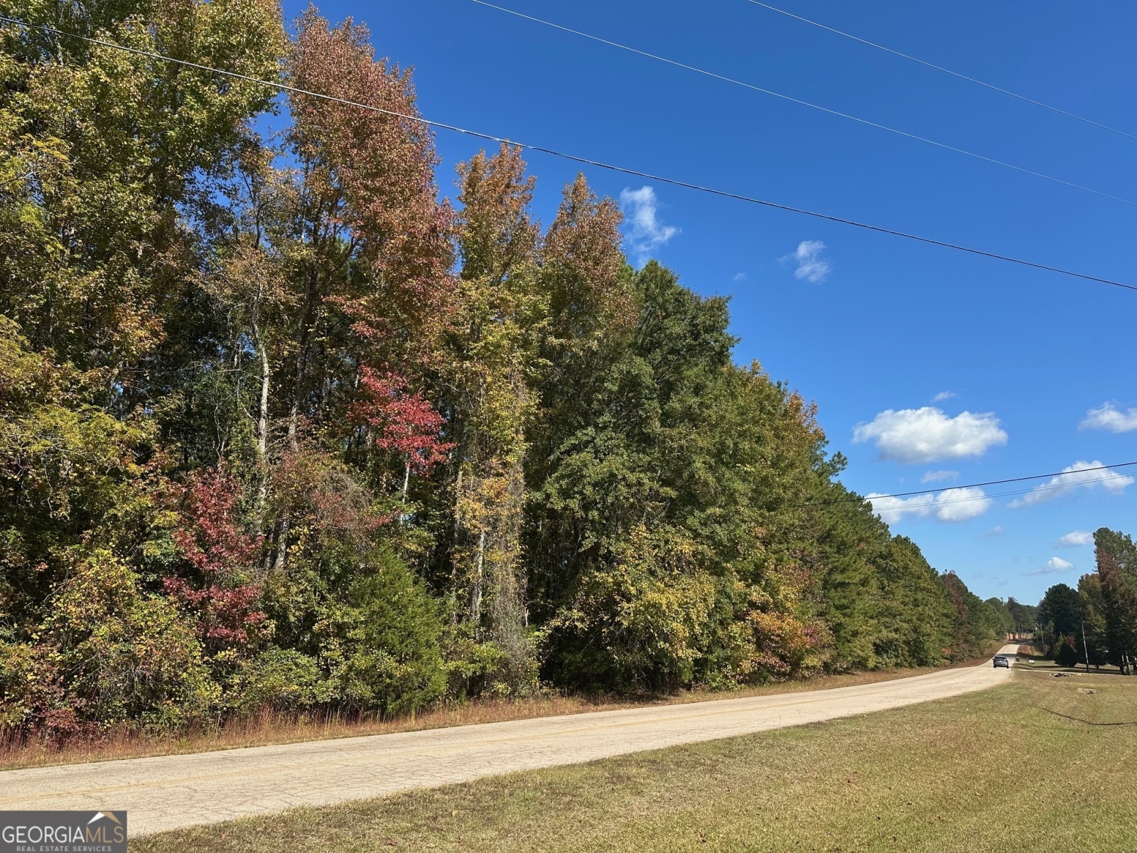 0 Strickland Town Road, Luthersville, Georgia 30251, ,Land,For Sale,Strickland Town,9140944