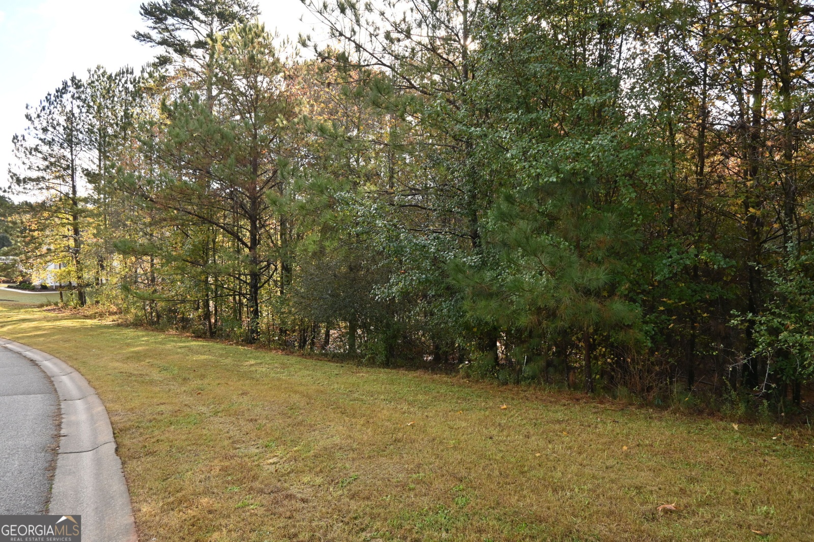 115 Kenmare Row, Tyrone, Georgia 30290, ,Land,For Sale,Kenmare,9140969