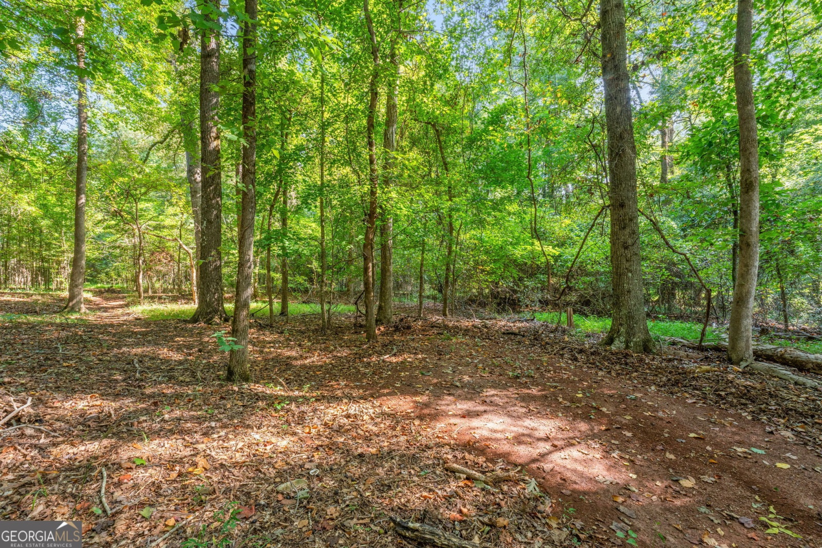 170 Reynolds Place, Fayetteville, Georgia 30215, ,Land,For Sale,Reynolds,9140982