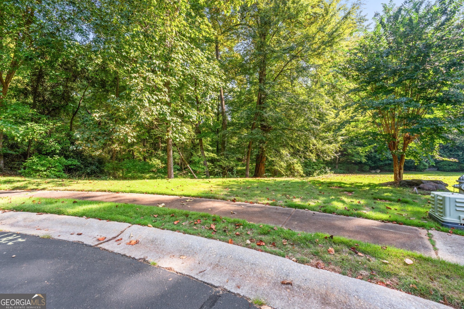 170 Reynolds Place, Fayetteville, Georgia 30215, ,Land,For Sale,Reynolds,9140982