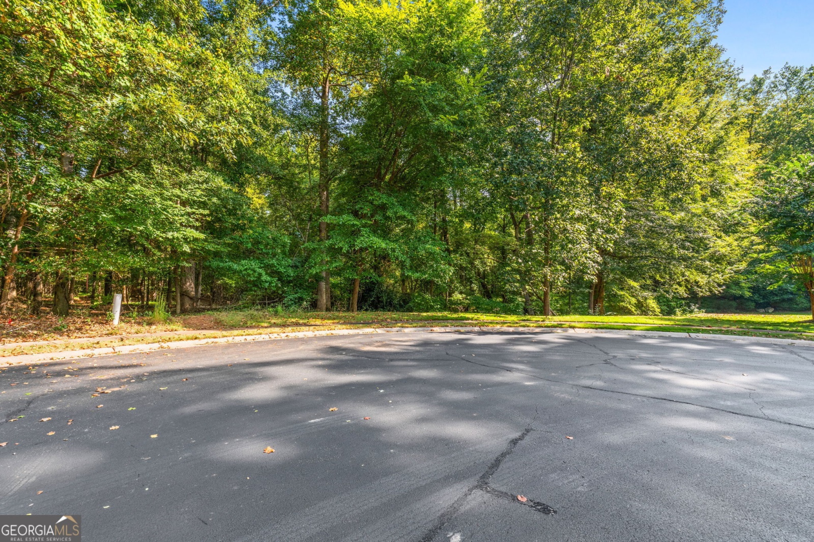 170 Reynolds Place, Fayetteville, Georgia 30215, ,Land,For Sale,Reynolds,9140982