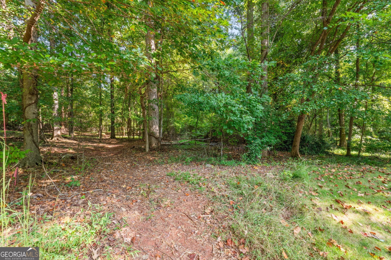 170 Reynolds Place, Fayetteville, Georgia 30215, ,Land,For Sale,Reynolds,9140982