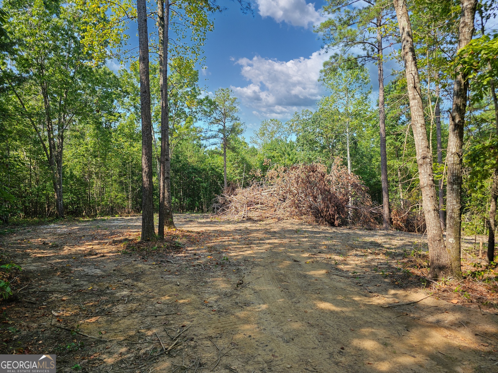 LOT 5 Gum Creek Airport Road, Roopville, Georgia 30170, ,Land,For Sale,Gum Creek Airport,9140999