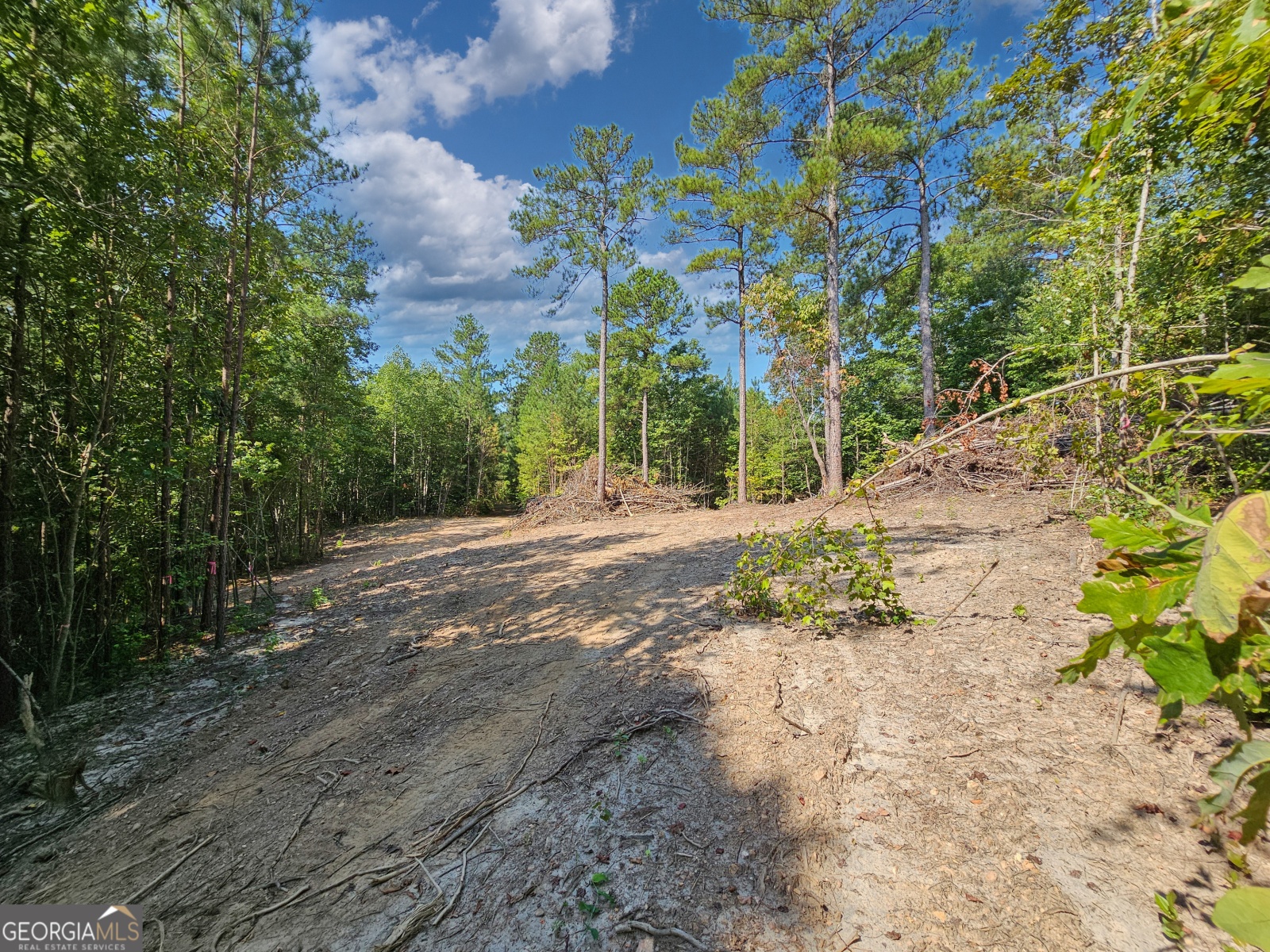 LOT 5 Gum Creek Airport Road, Roopville, Georgia 30170, ,Land,For Sale,Gum Creek Airport,9140999