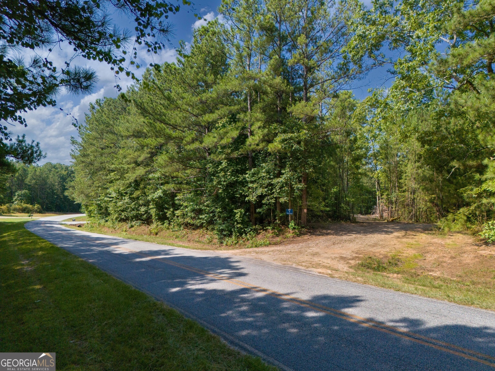 LOT 5 Gum Creek Airport Road, Roopville, Georgia 30170, ,Land,For Sale,Gum Creek Airport,9140999