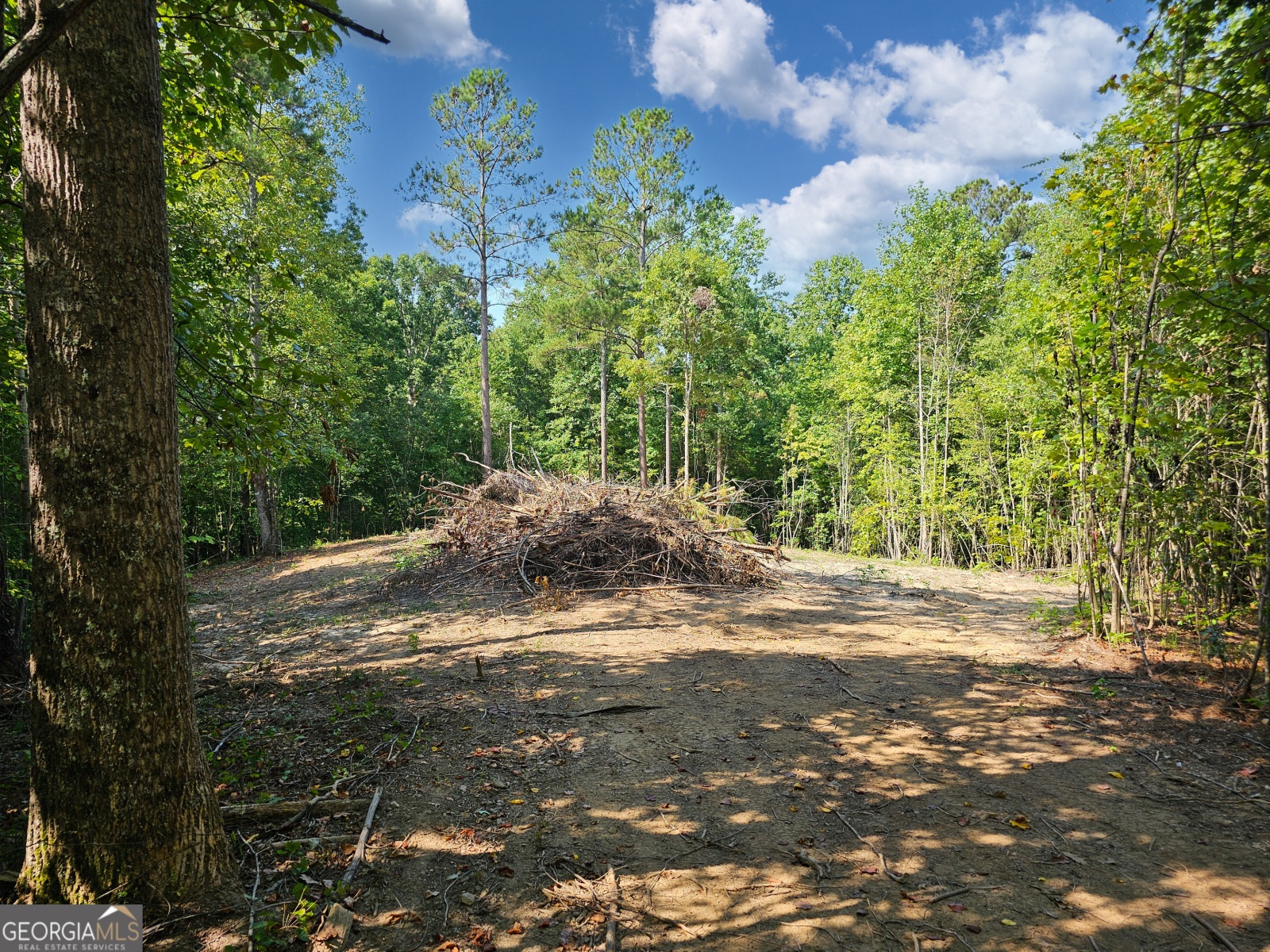 LOT 5 Gum Creek Airport Road, Roopville, Georgia 30170, ,Land,For Sale,Gum Creek Airport,9140999