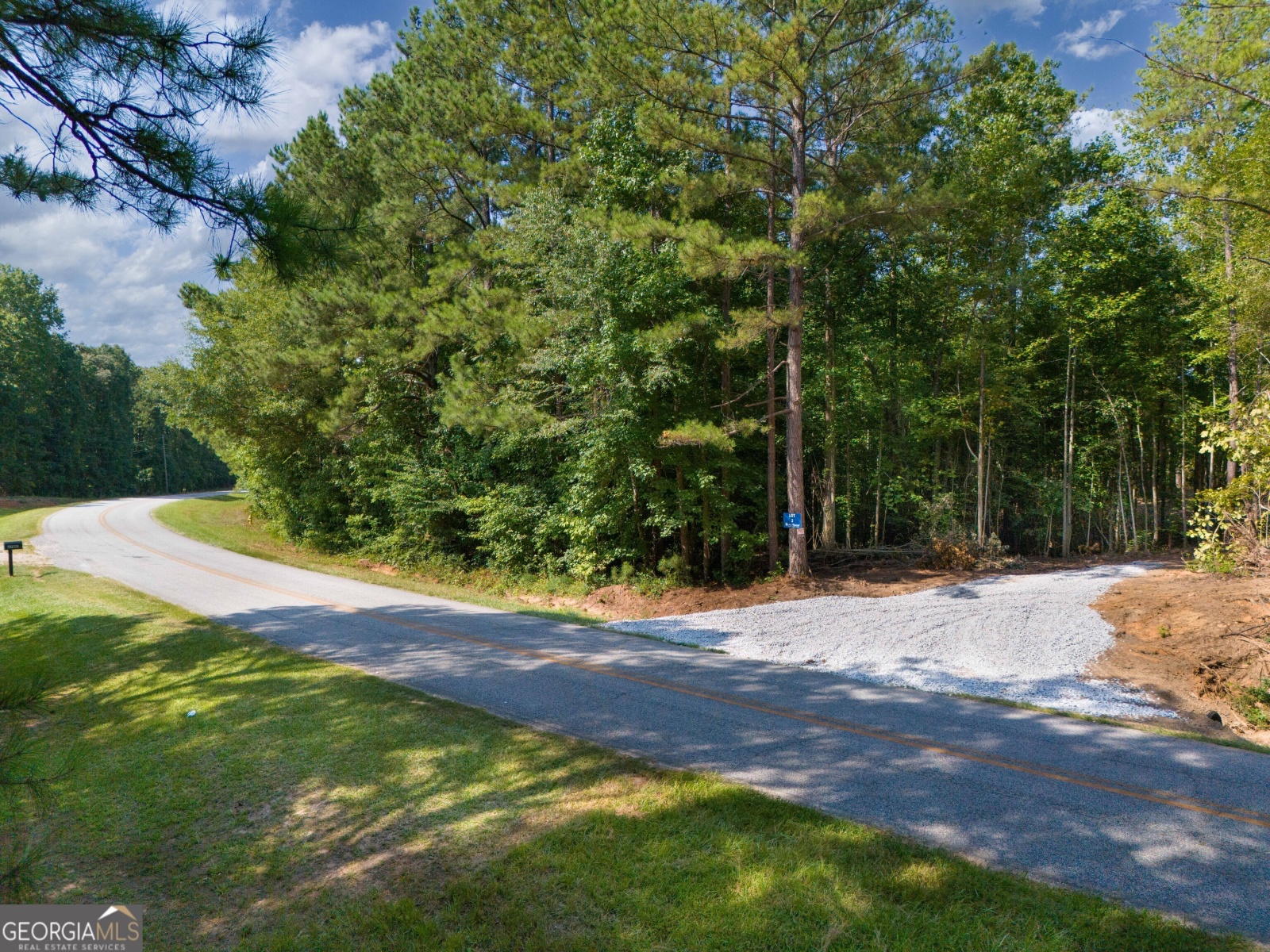 LOT 5 Gum Creek Airport Road, Roopville, Georgia 30170, ,Land,For Sale,Gum Creek Airport,9140999