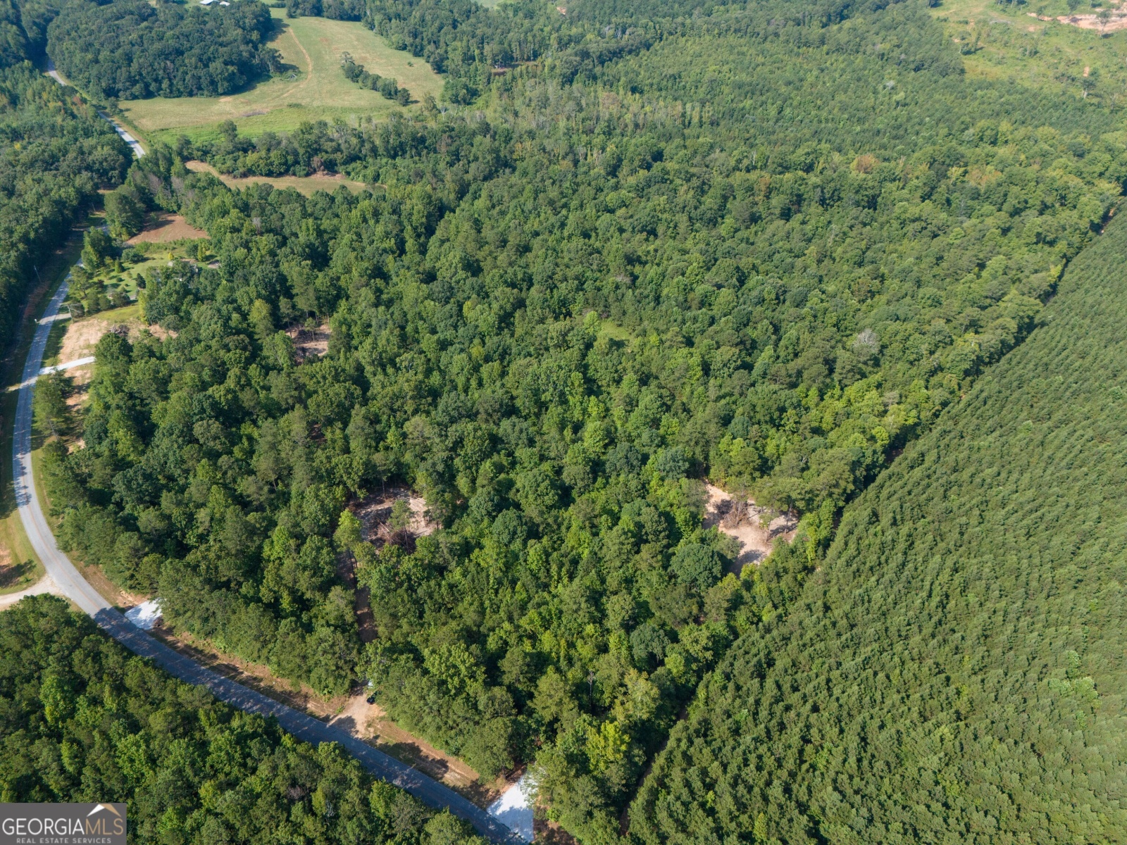 LOT 5 Gum Creek Airport Road, Roopville, Georgia 30170, ,Land,For Sale,Gum Creek Airport,9140999